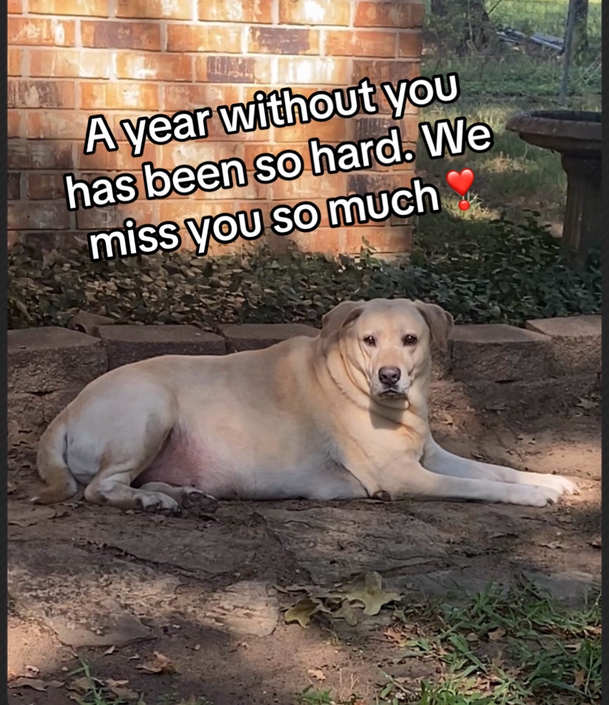 @Cindy.❌