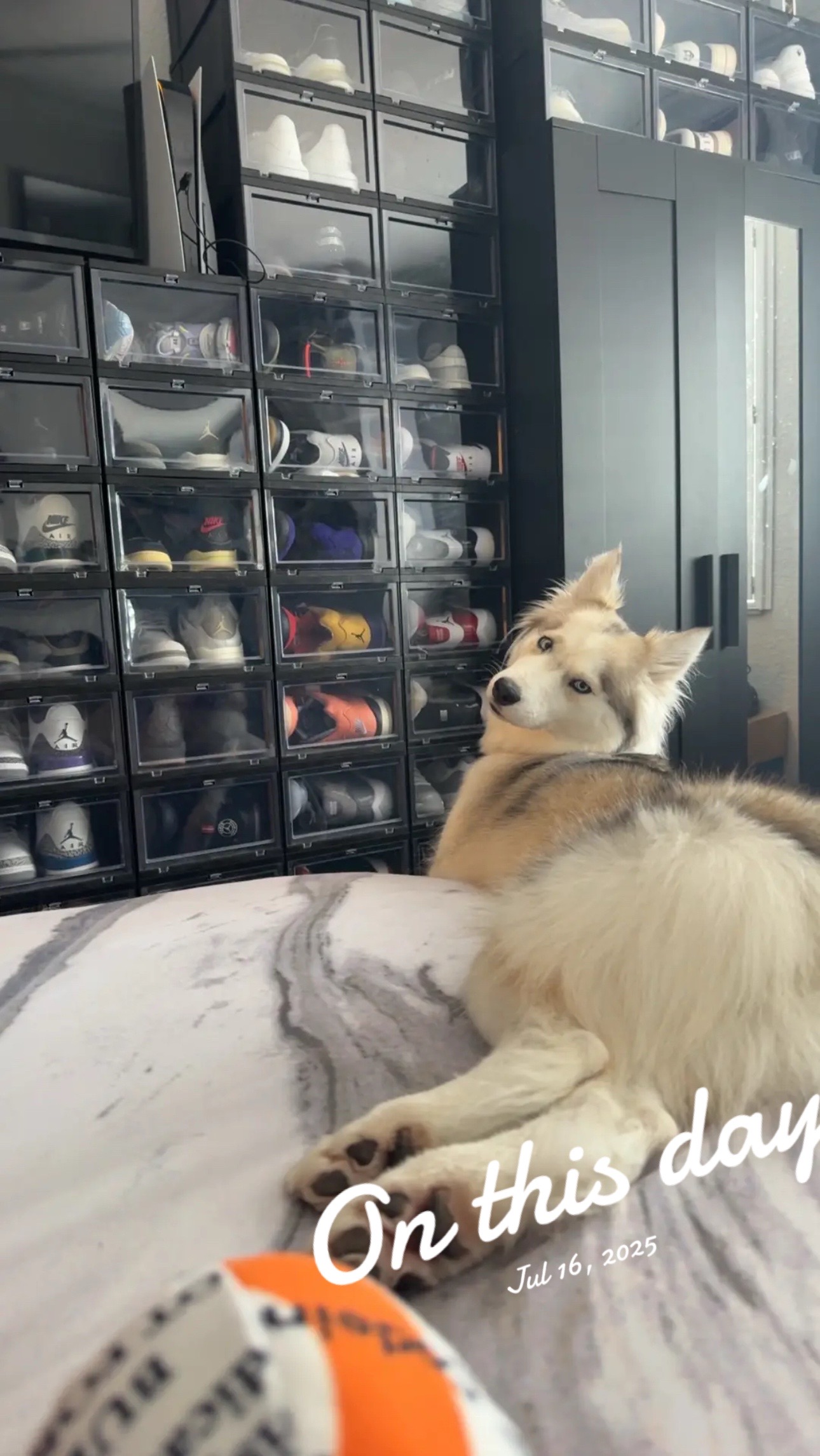 @lifewith2huskies