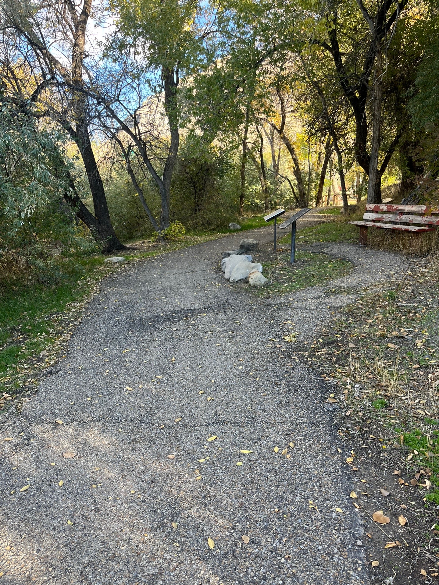 @Lilnightmare34