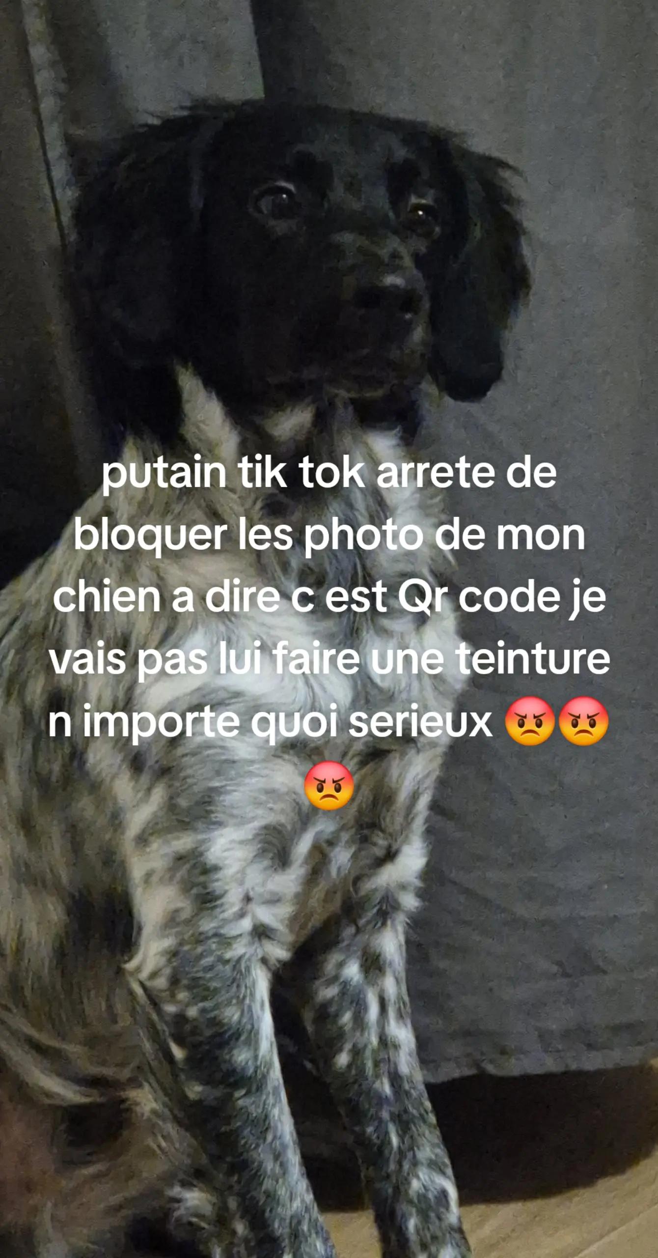 @๐ฆ๐ฅ๐๐ถ๐๐ Céline 34 ๐ฉ๐ฅ๐ฆ