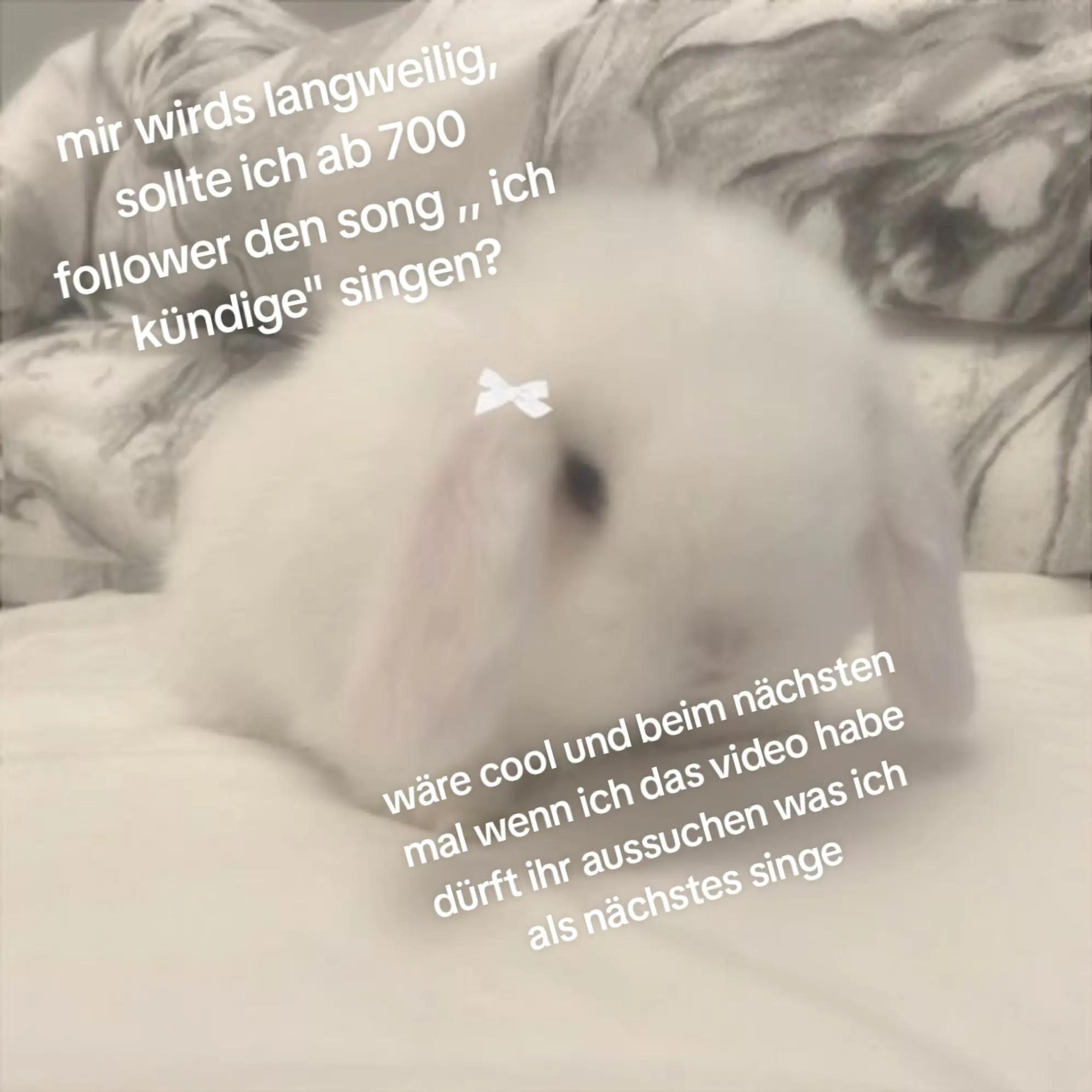 @Lina 🐾🦊