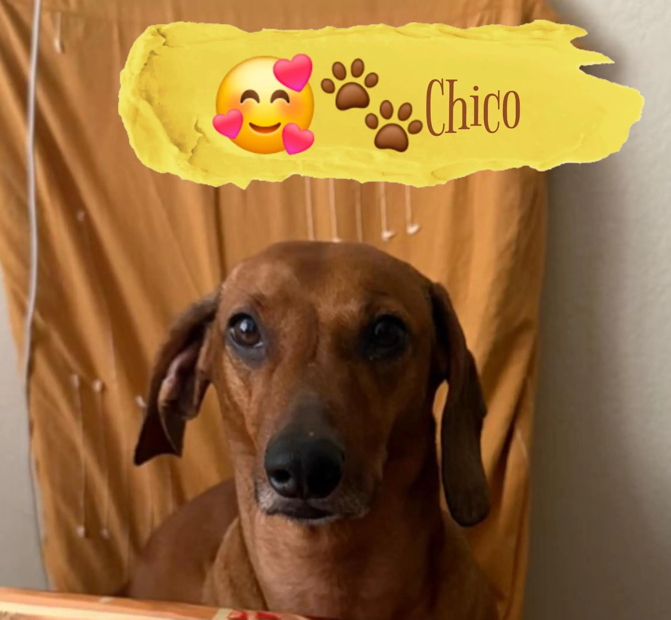 @*-*