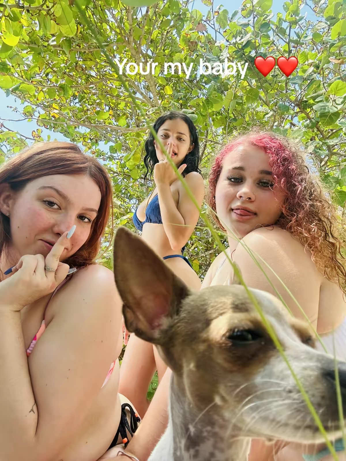 @Preslie1105