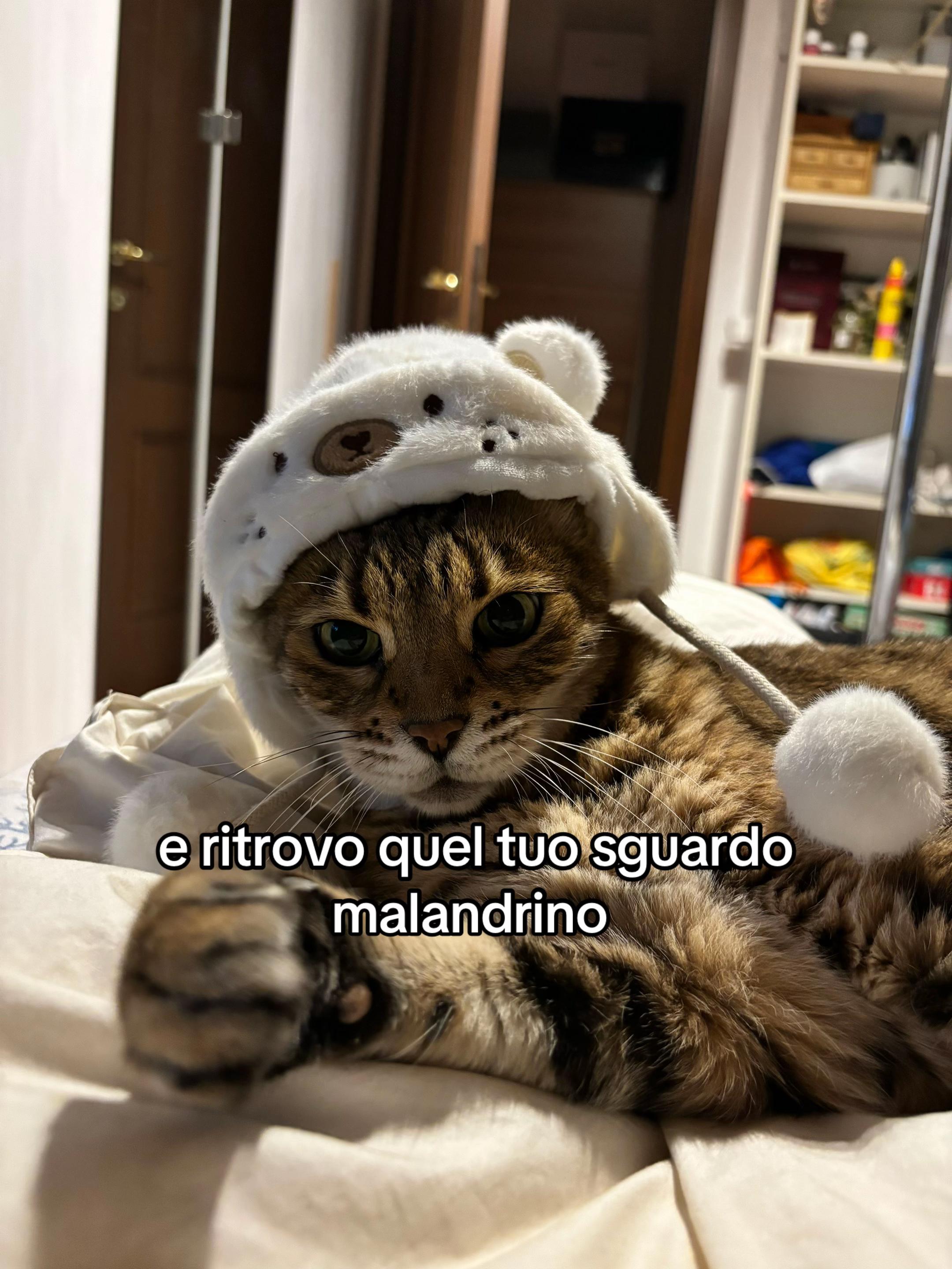 @candileraa
