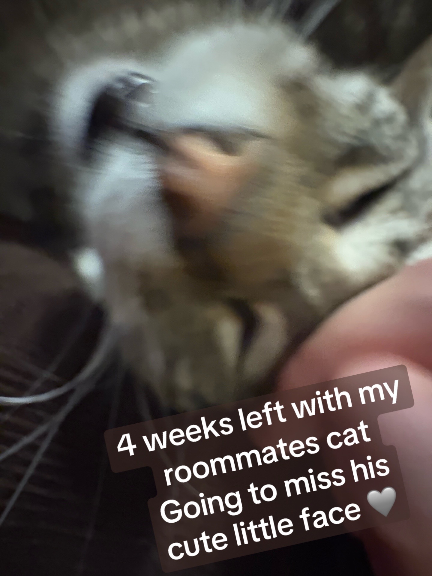 @thecancerwithcancer