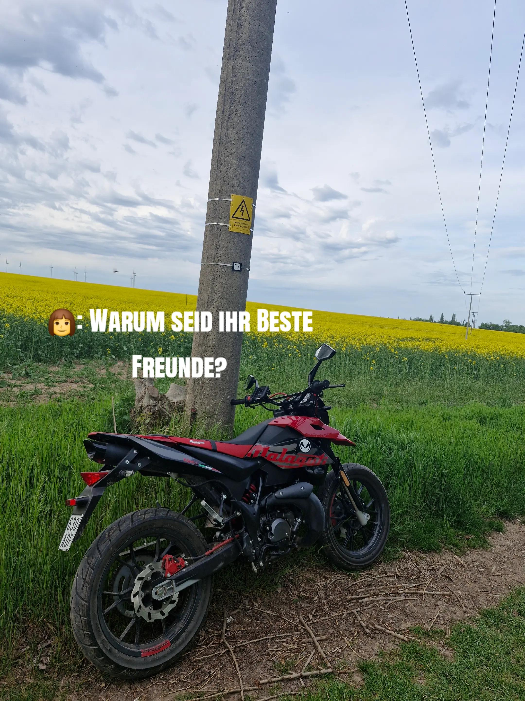 @some.guy.on.a.moped