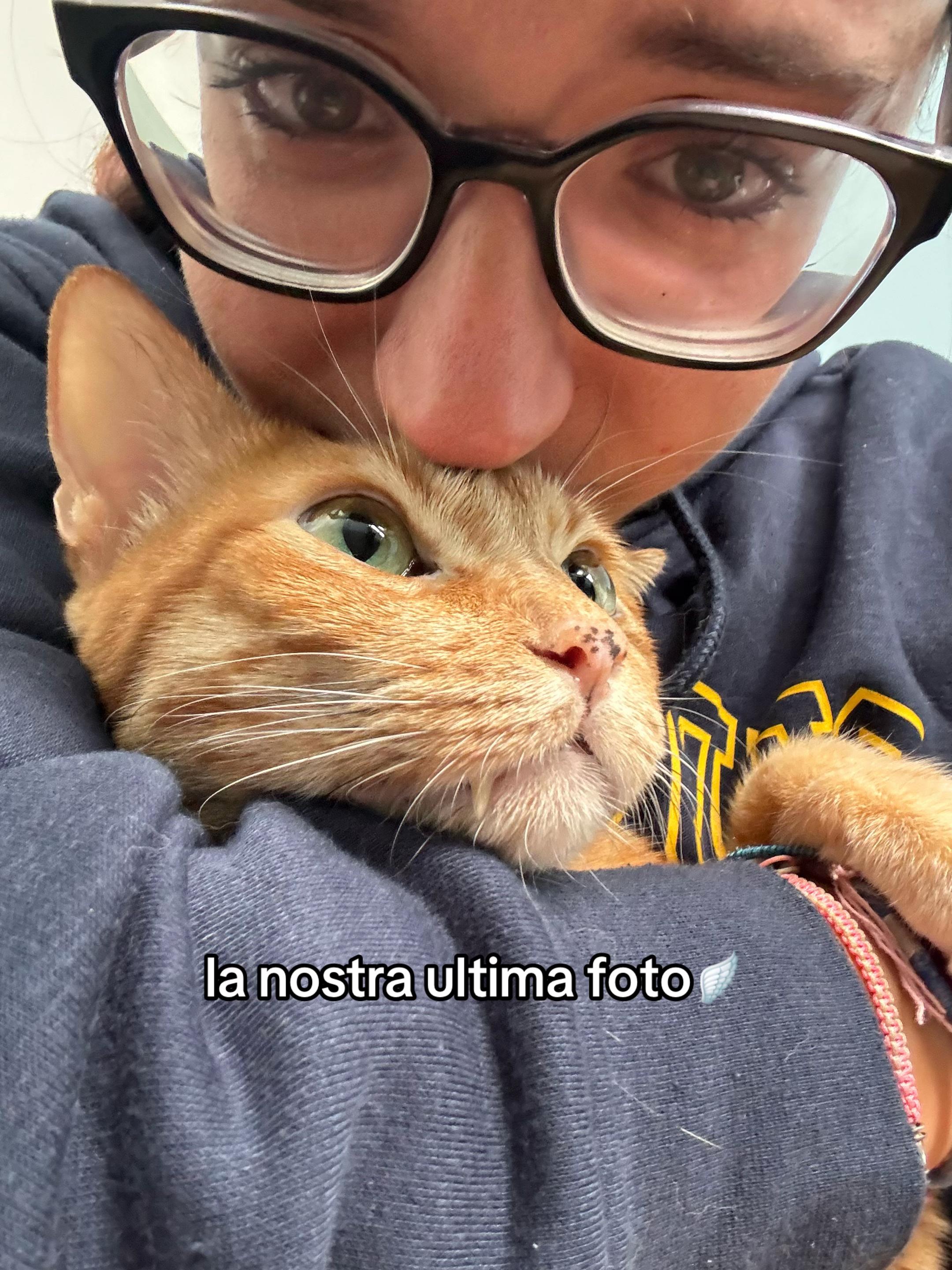 @giada