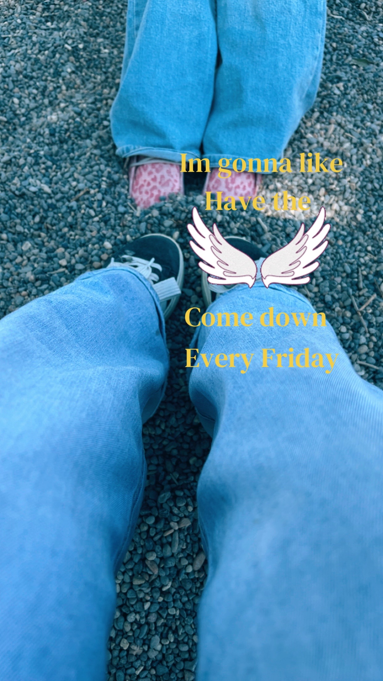 @not_darci