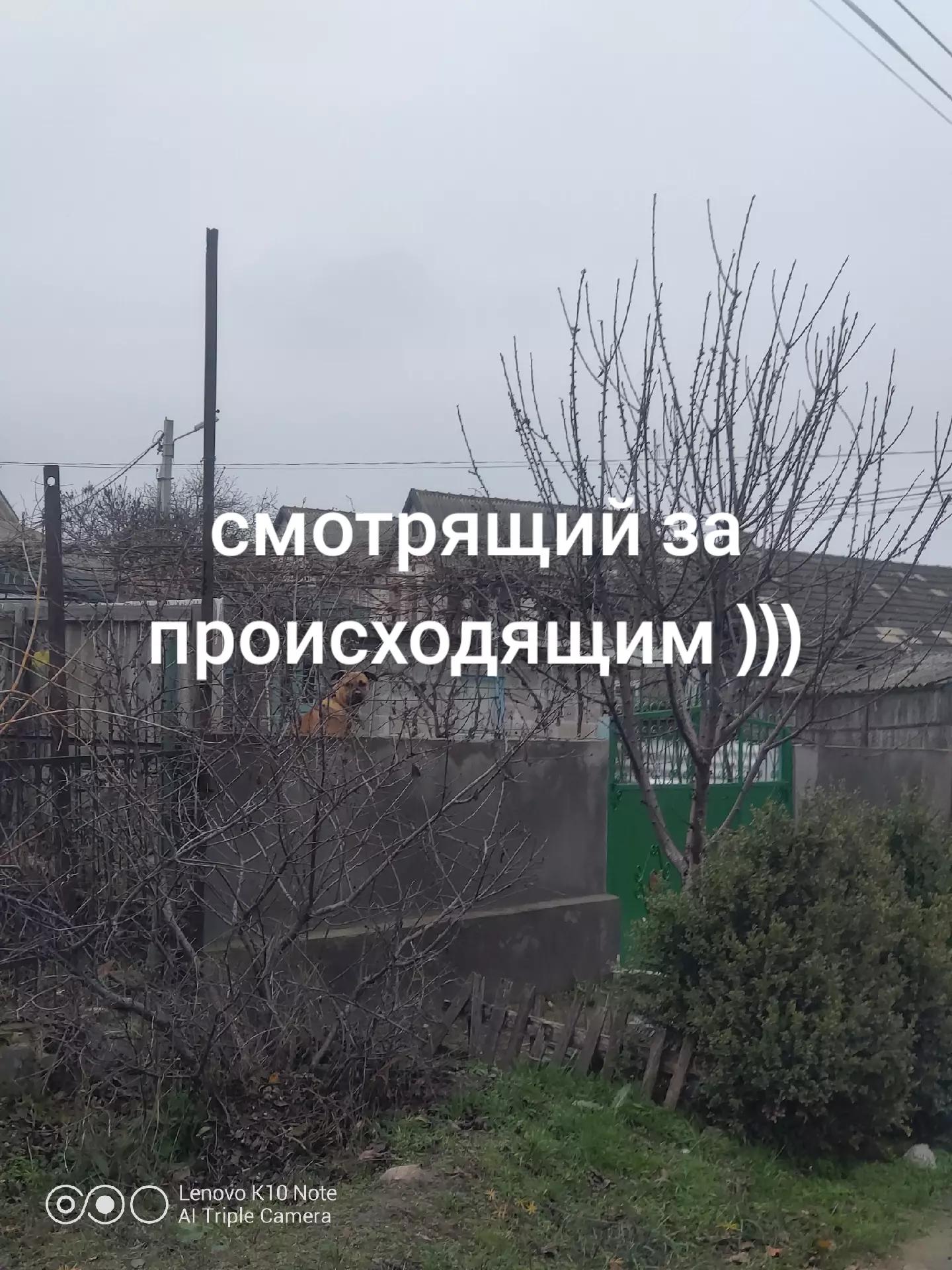 @art