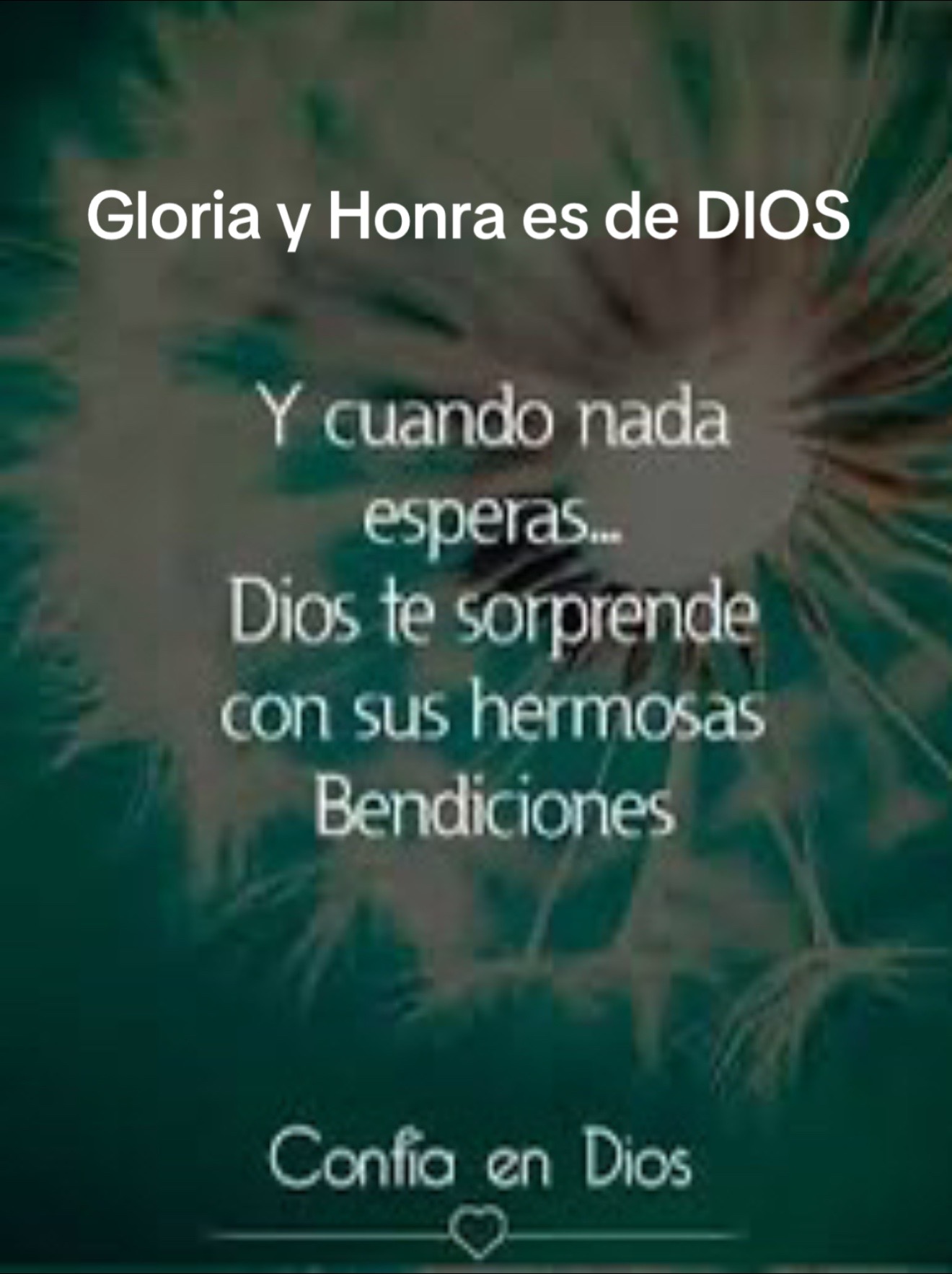 @I’mGonz✌🏻🙏🏻🙇🏻♂️