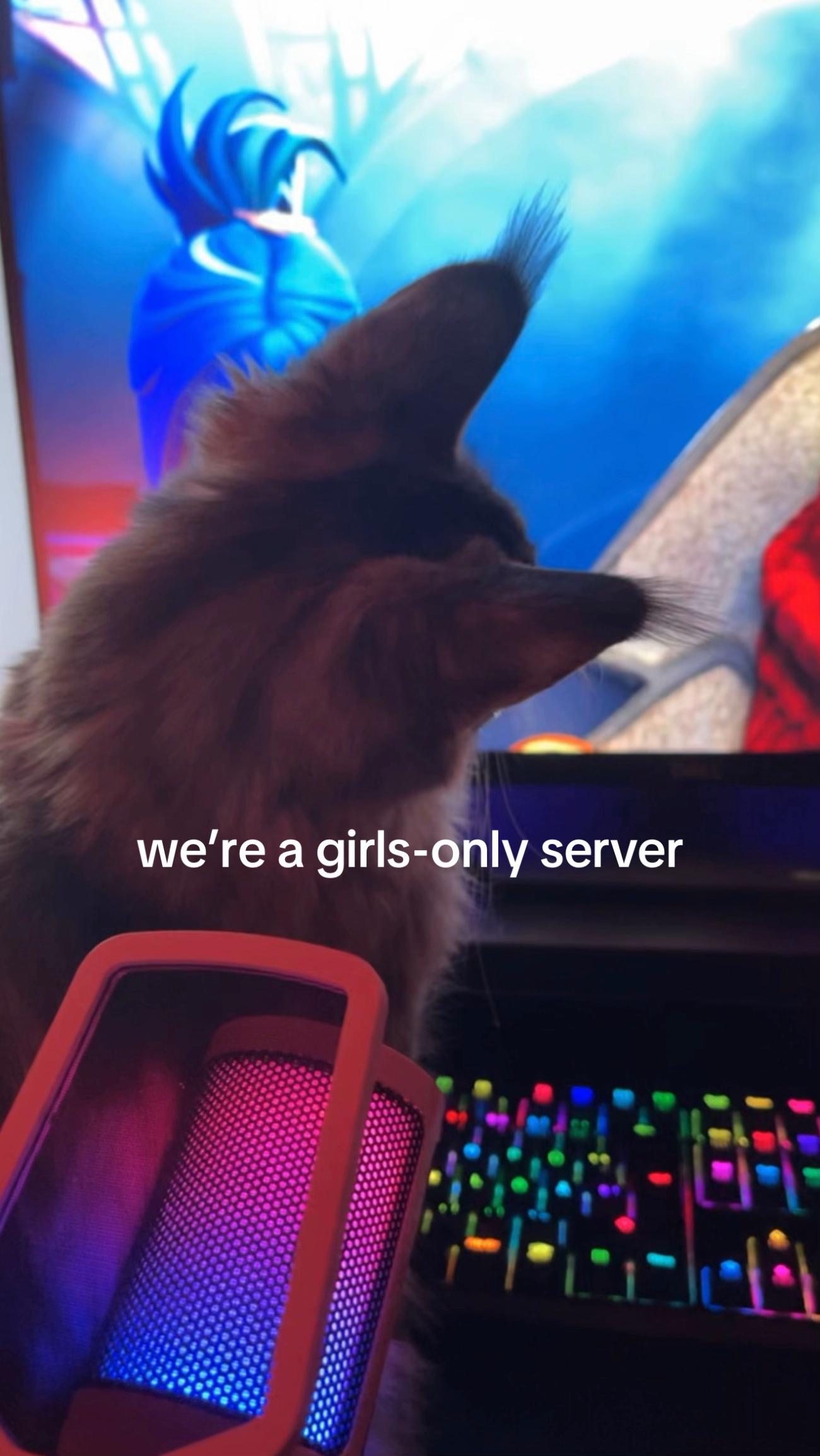 @Sweet Angels 18+ // Girls Only