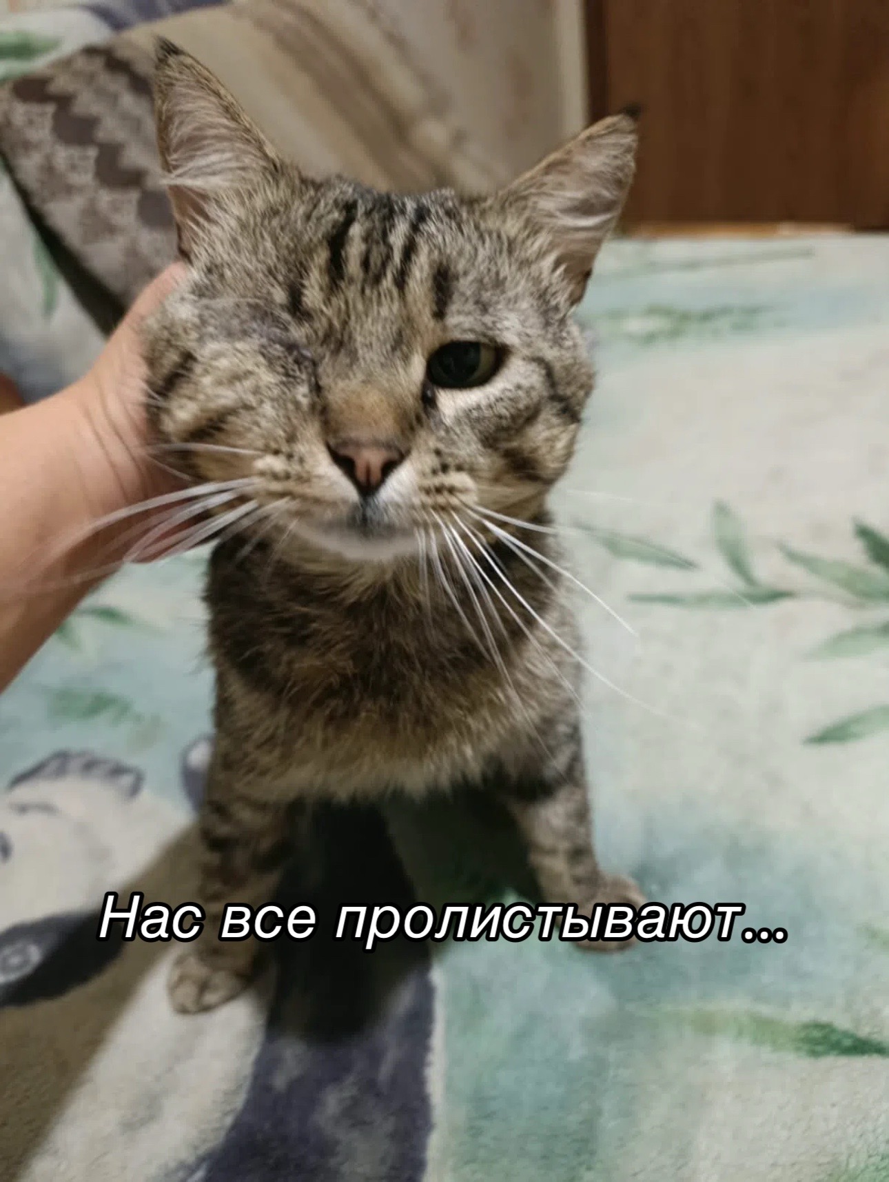 @Приют для животных Потеряшка