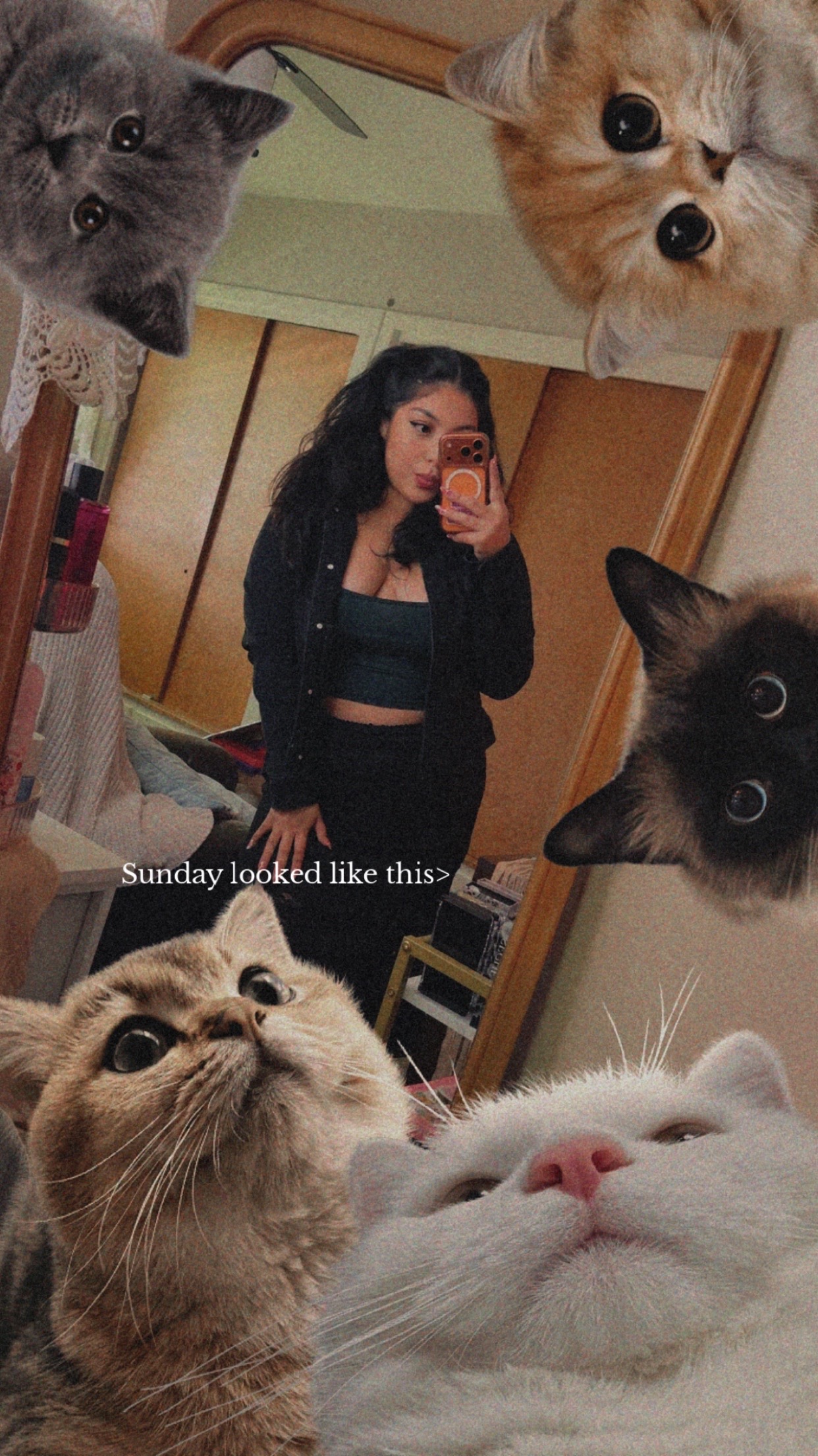@seche_beauty