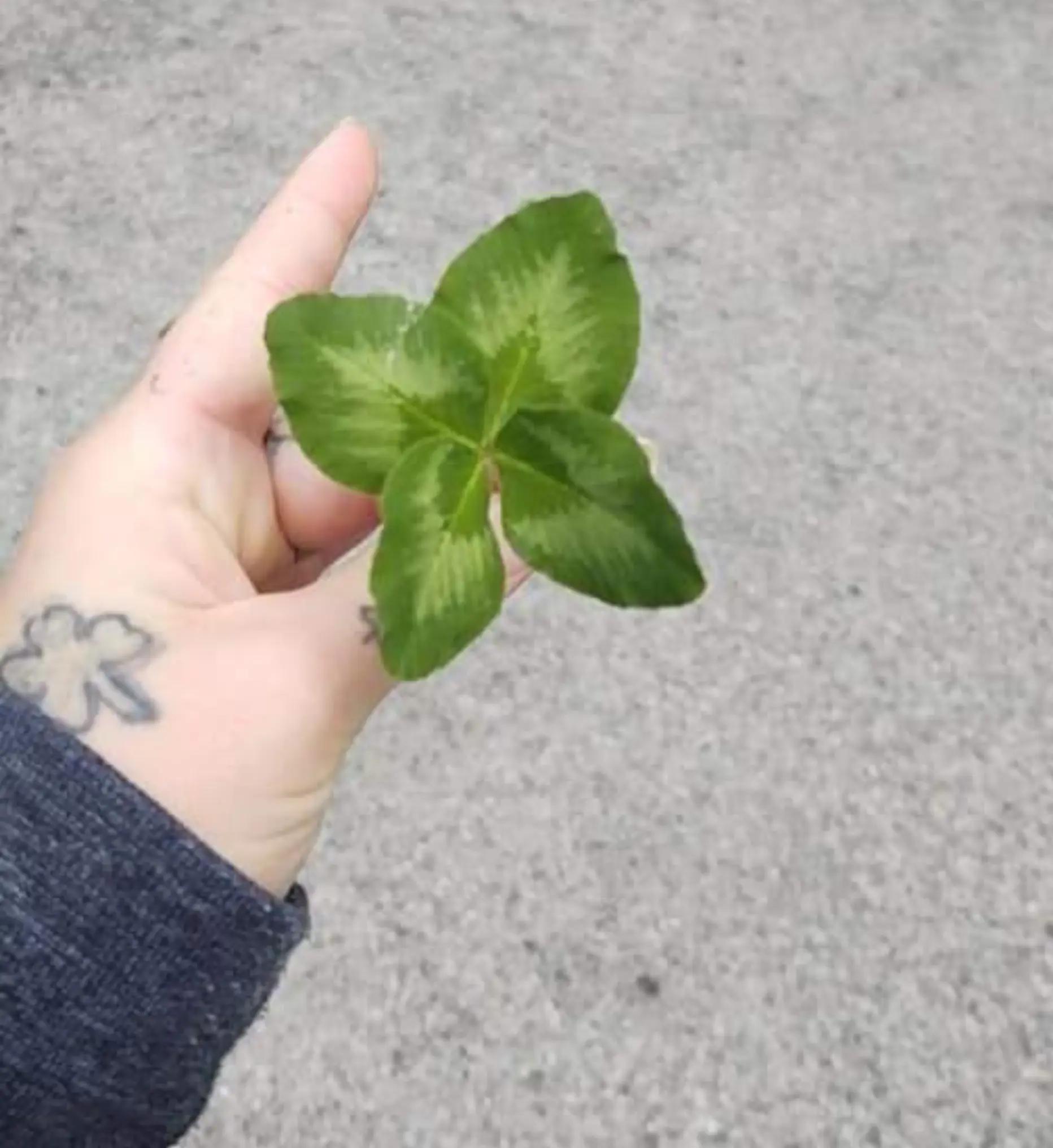 @🖤☘️Lückÿ☘️🖤
