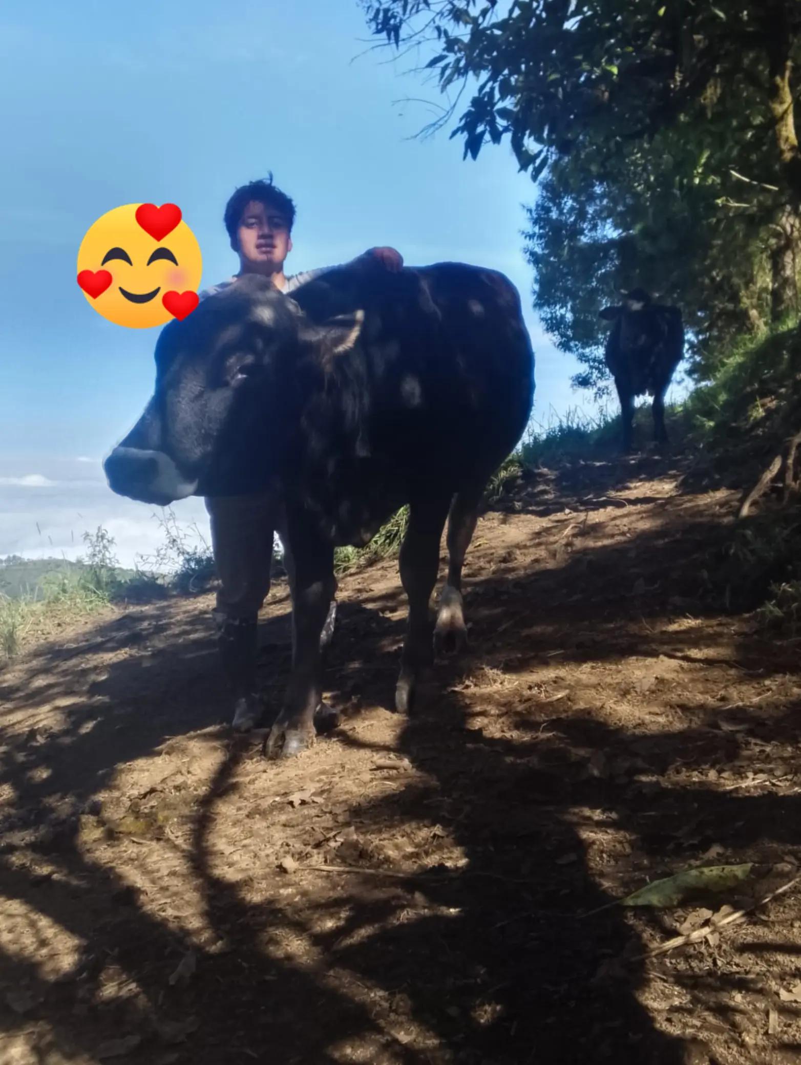 @Rosa Simbaina