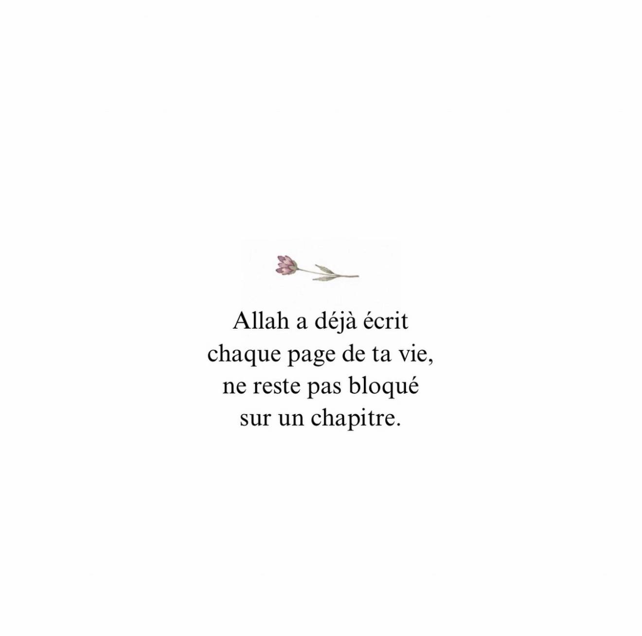 @🦁ⵣ🦚⚝ sab ⚝🦚ⵣ 🇲🇦❤️🇵🇸🦁