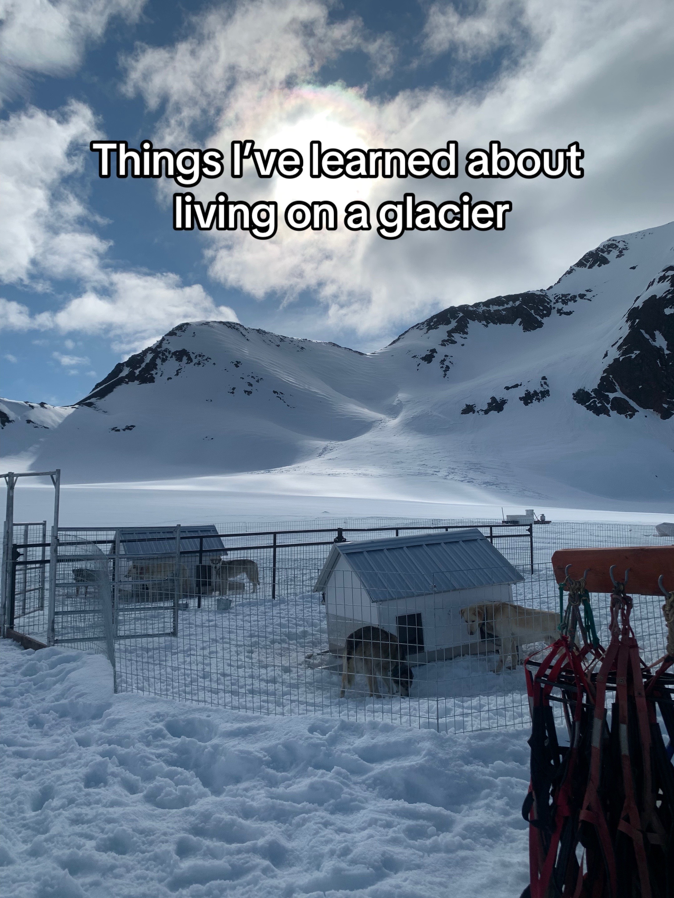 @Glacier Musher