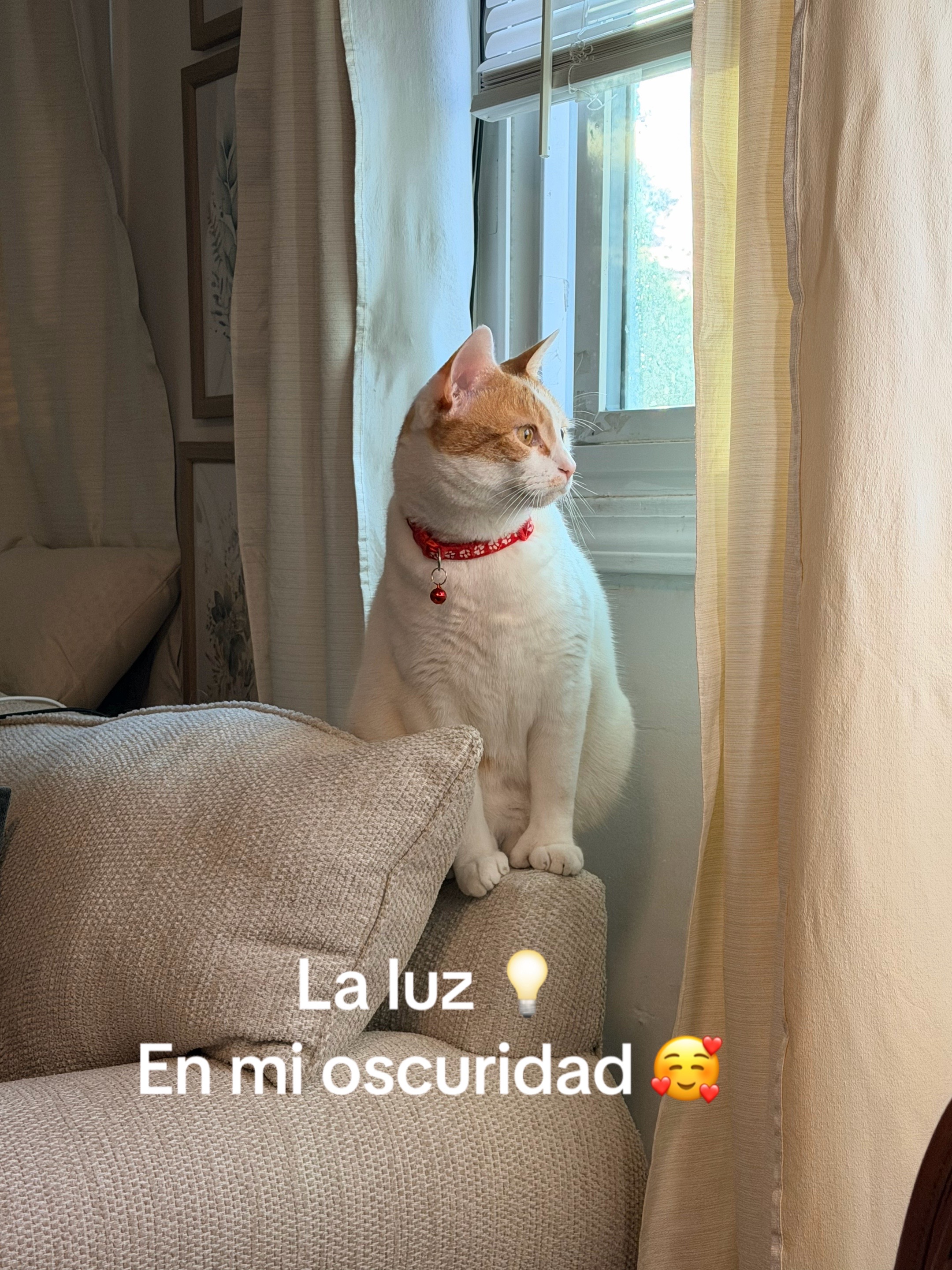@Hanna 🐈 & Mayrie 👱&zwj;♀️