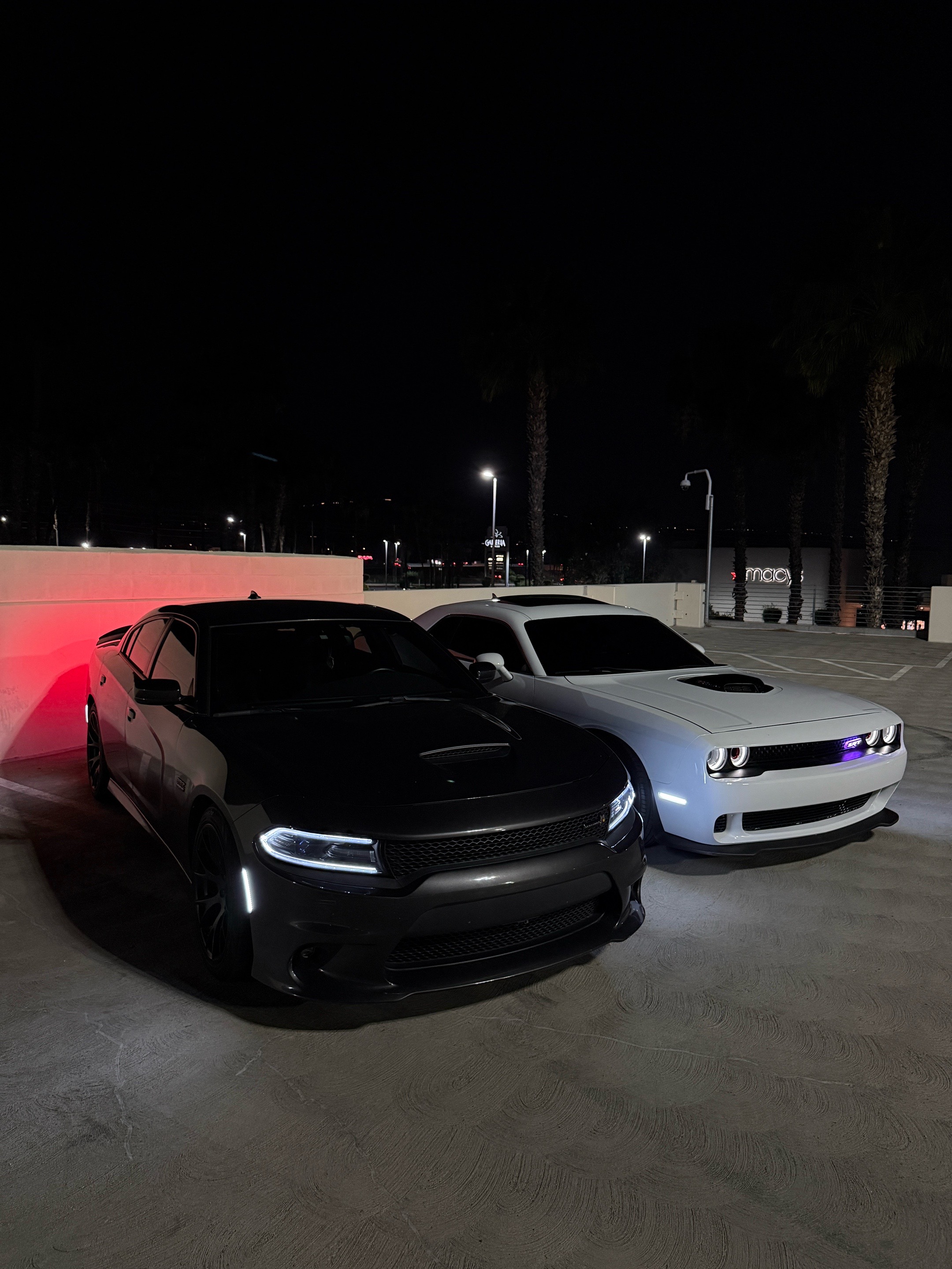 @Srtcam