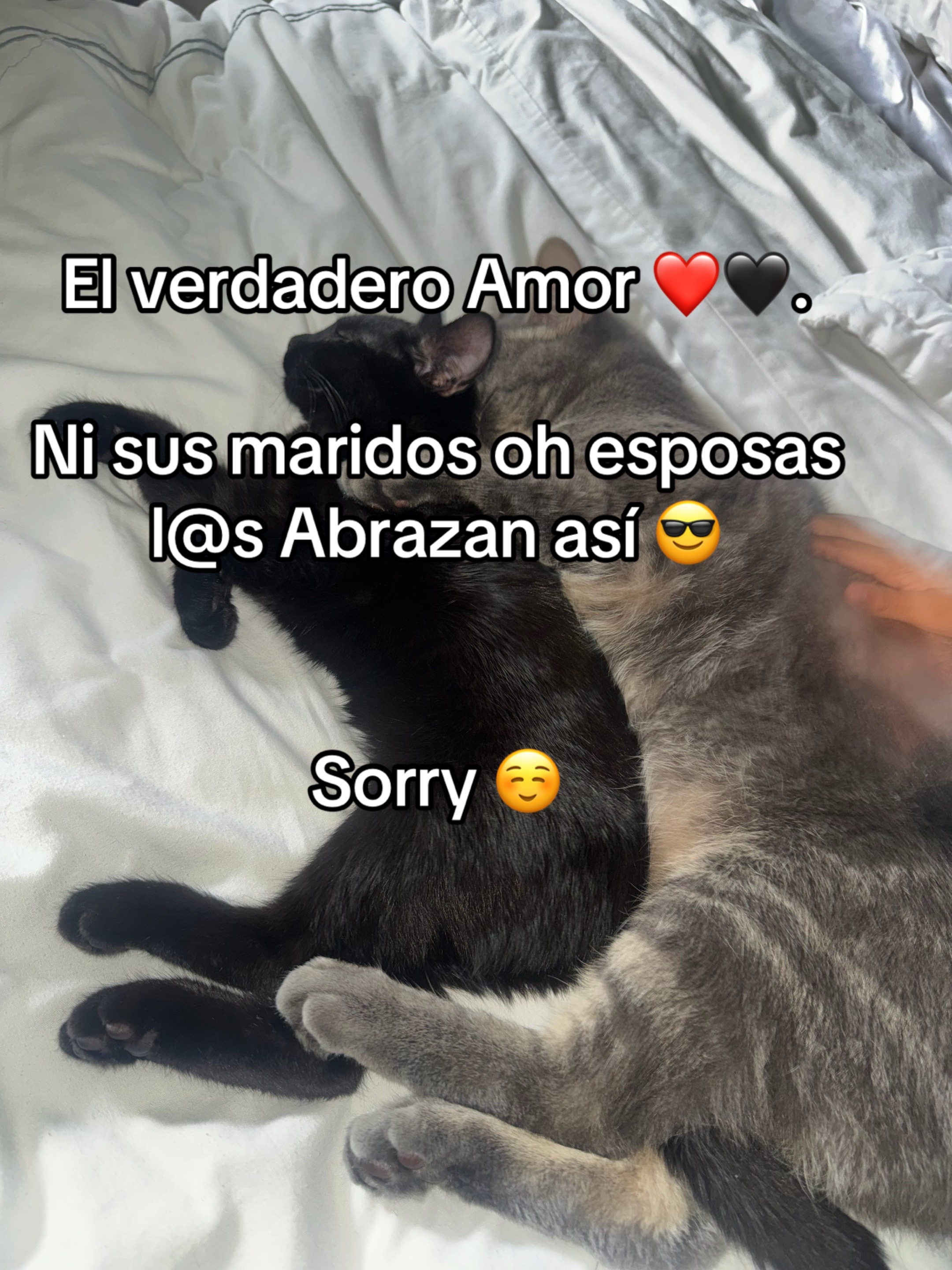@Mario E Silva