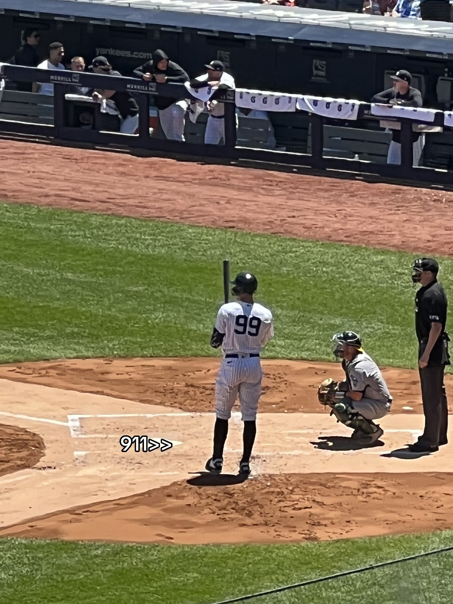 @Yankees