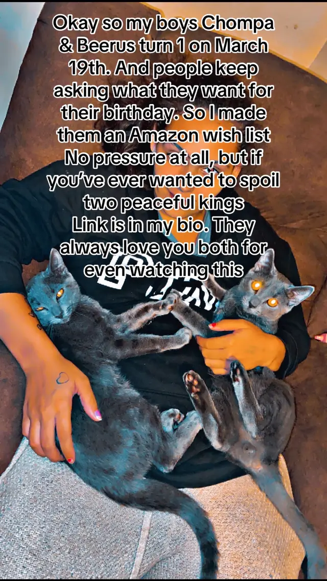 @catmomjailee123