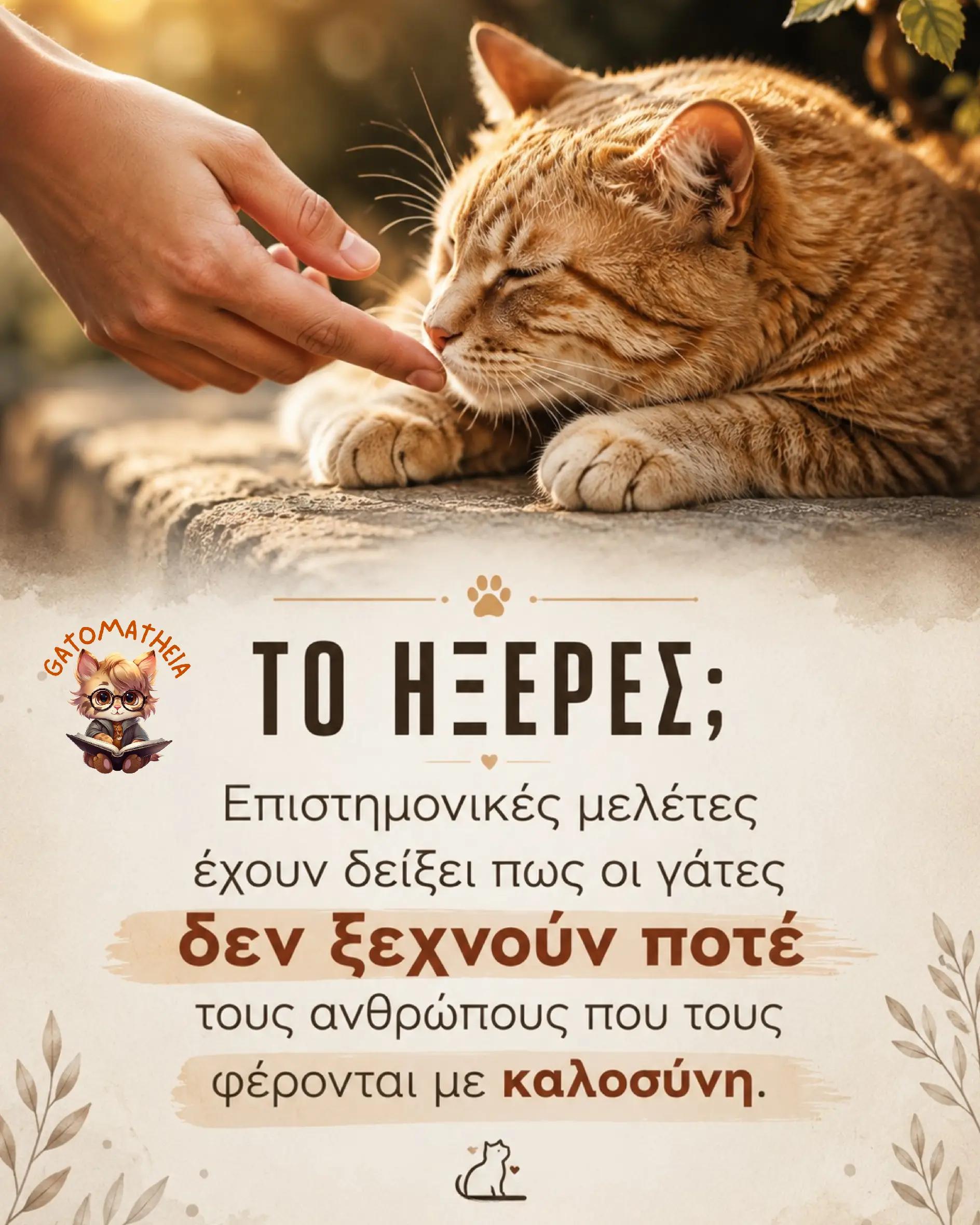 @Γατομάθεια