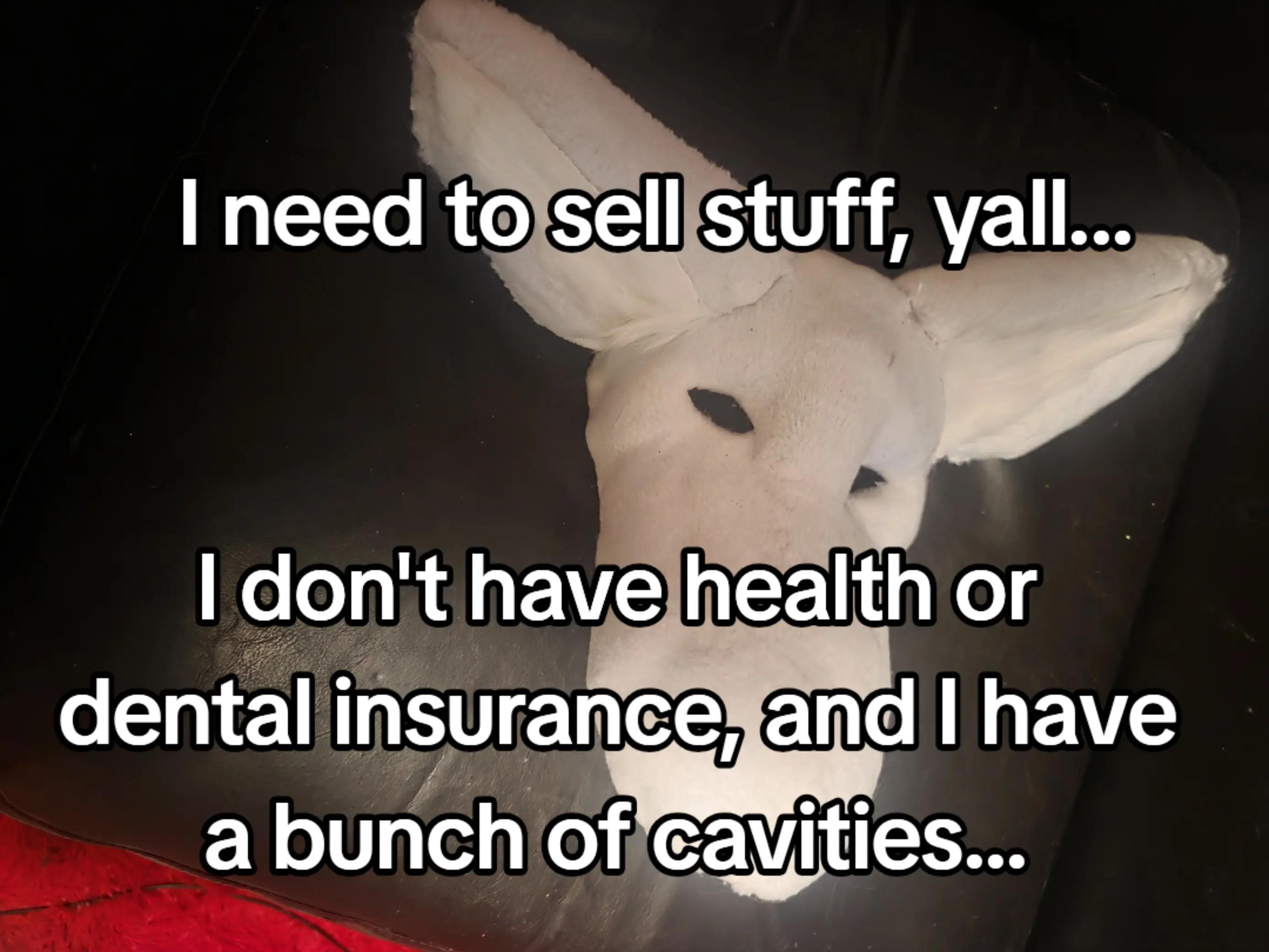 @Maple_the_Deer