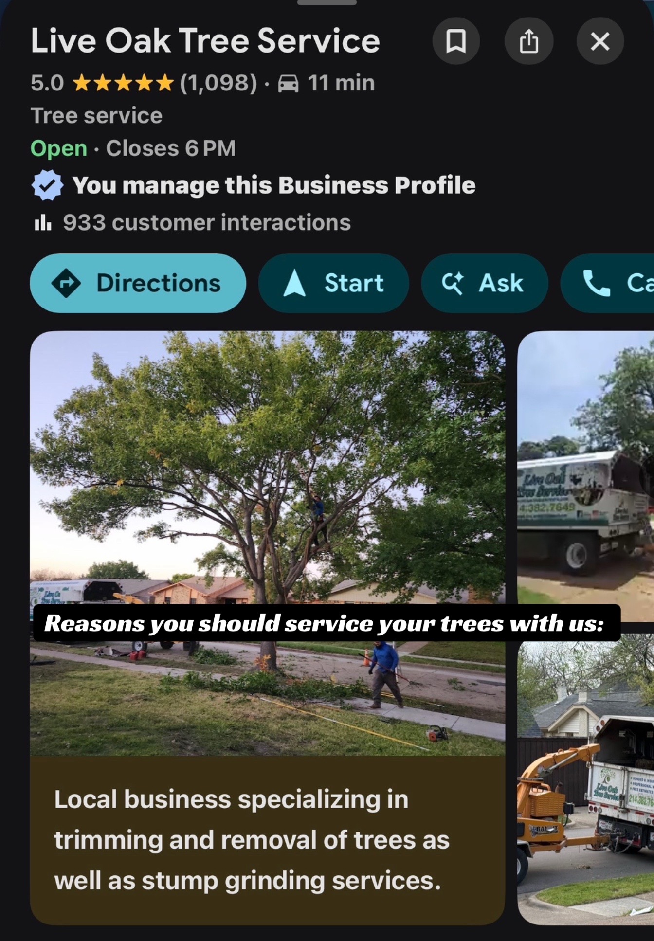 @Live Oak Tree Service