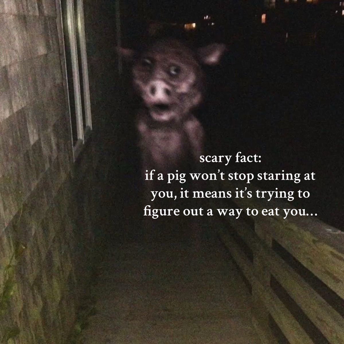 @skinwalkerluv