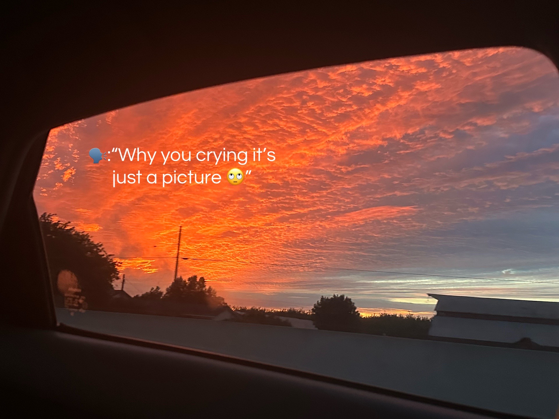 @ℳᥫ᭡