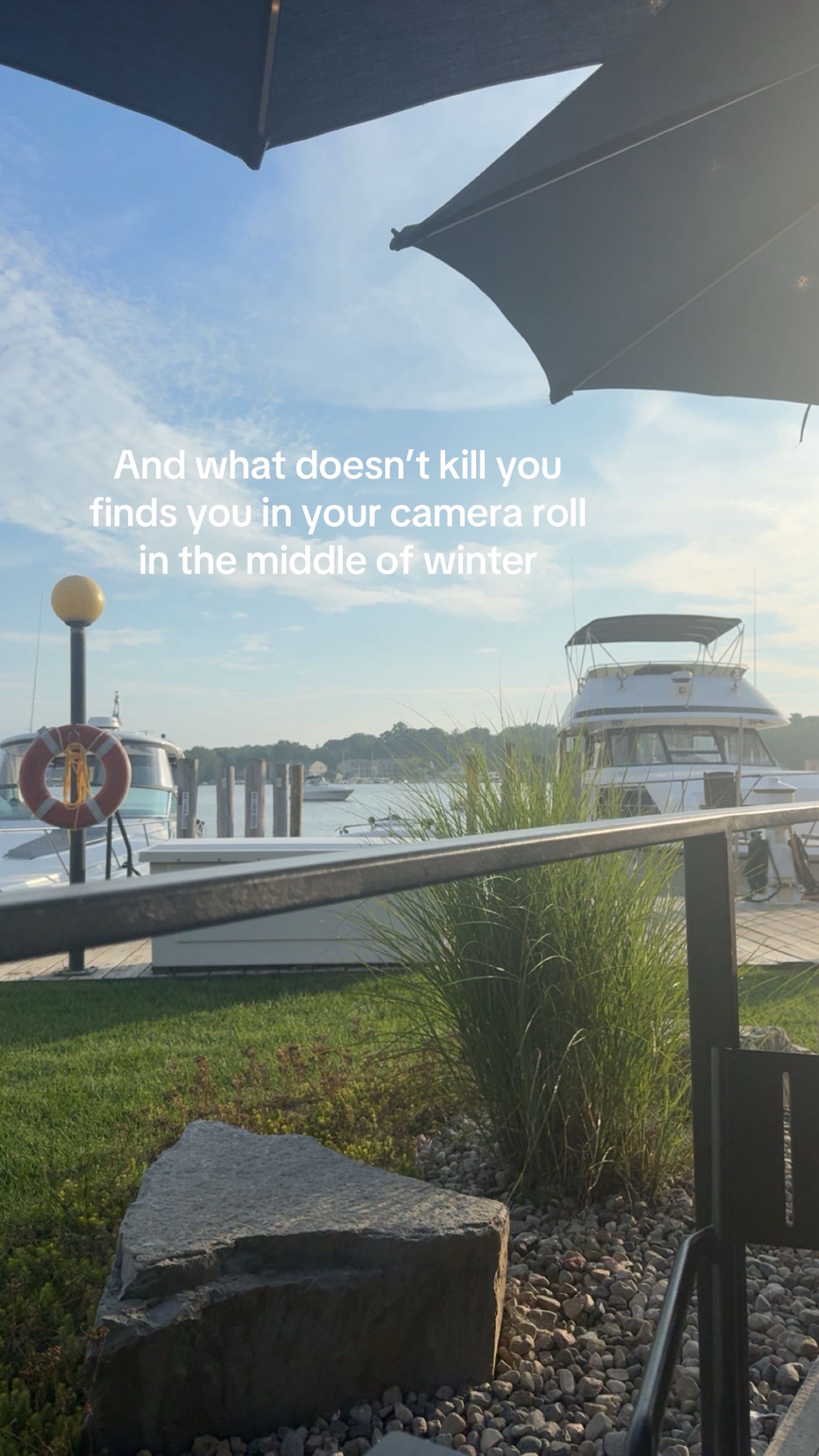 @maya