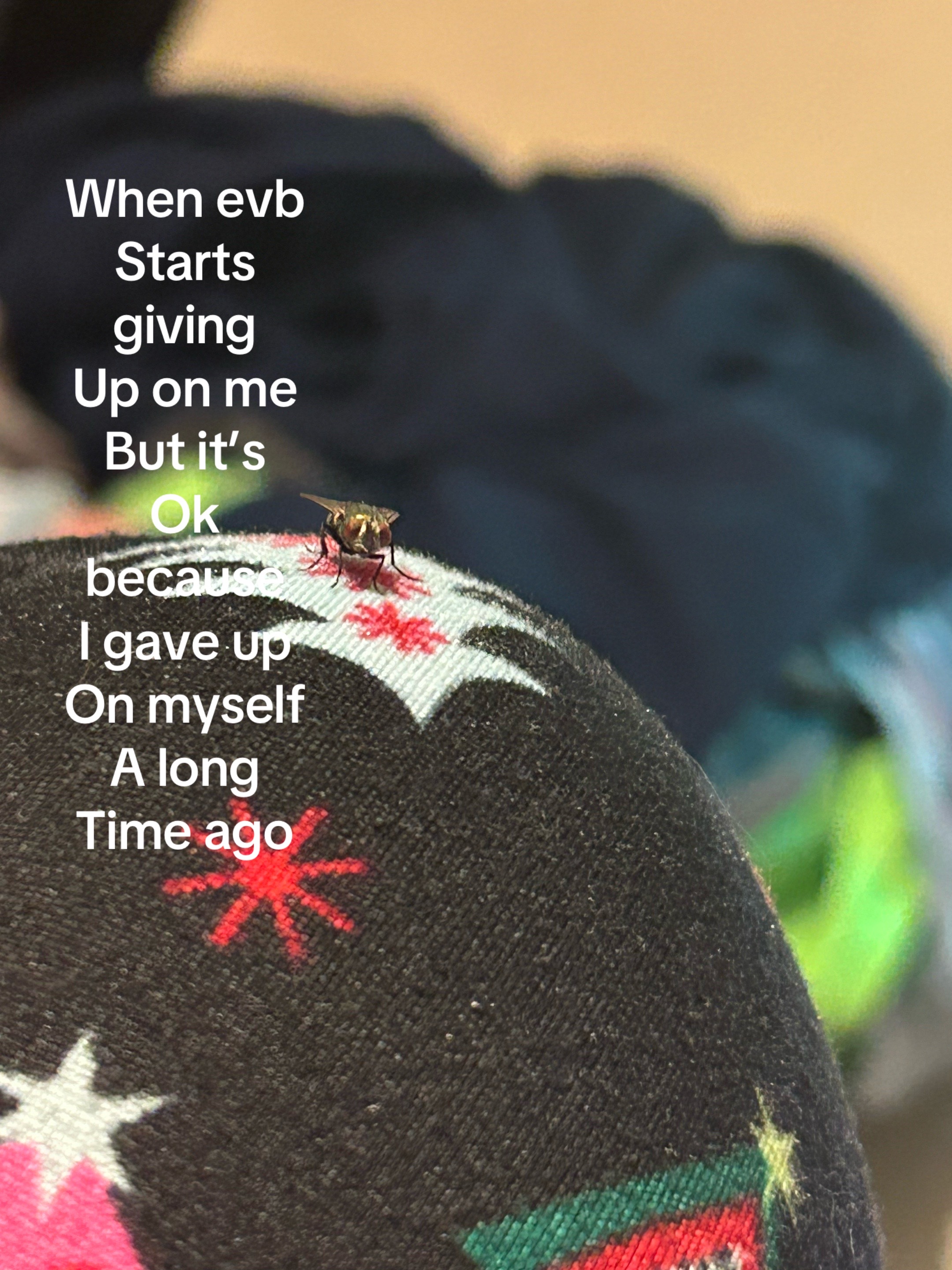 @chloedagoat77
