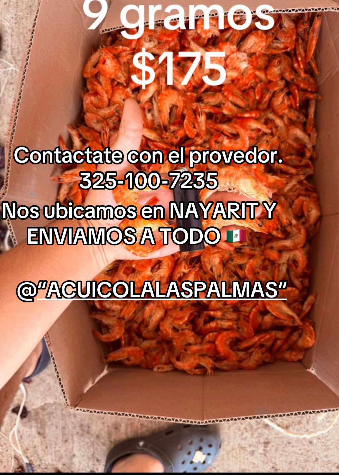 @Citlaly pardo@