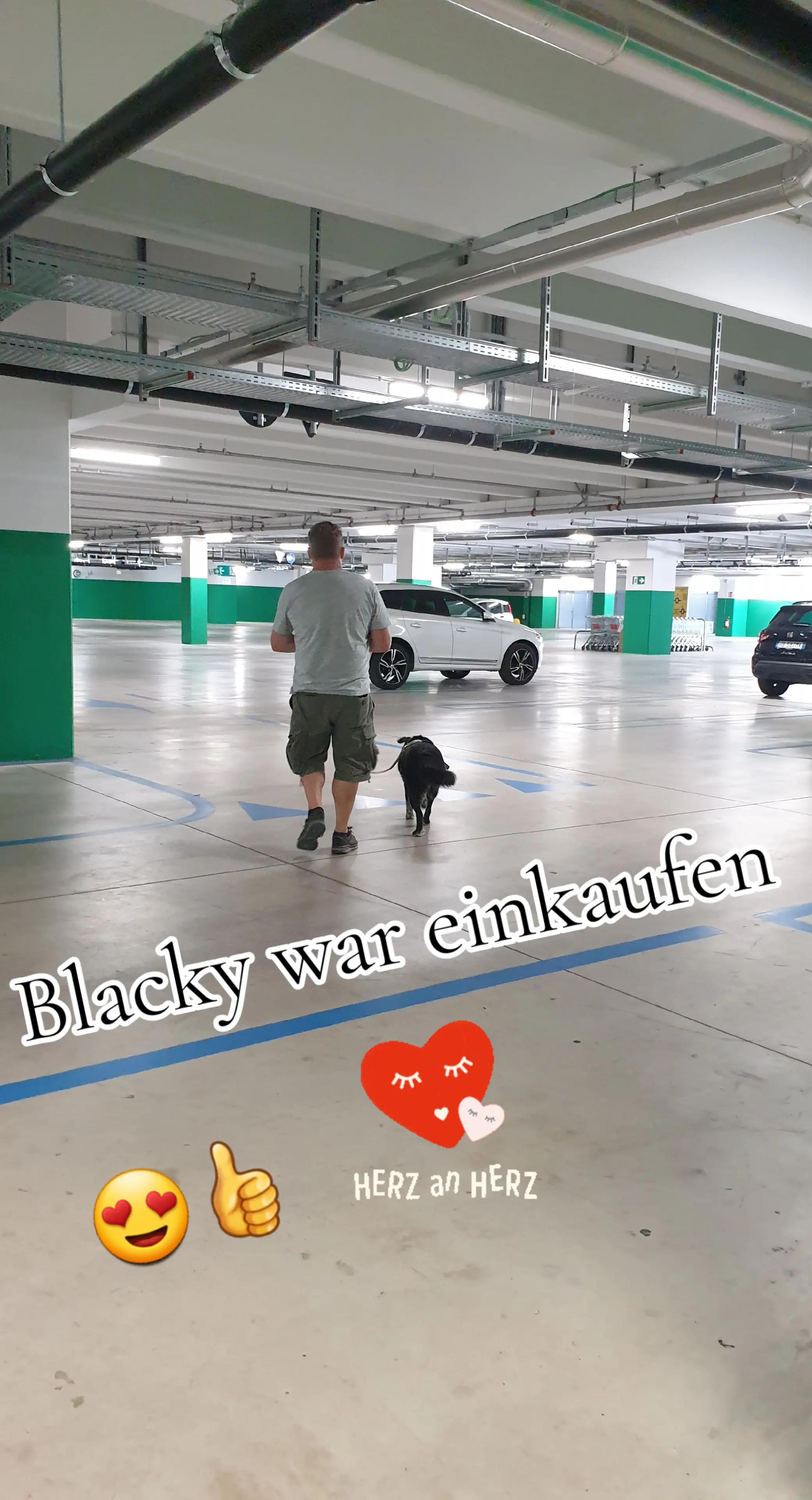 @Coco