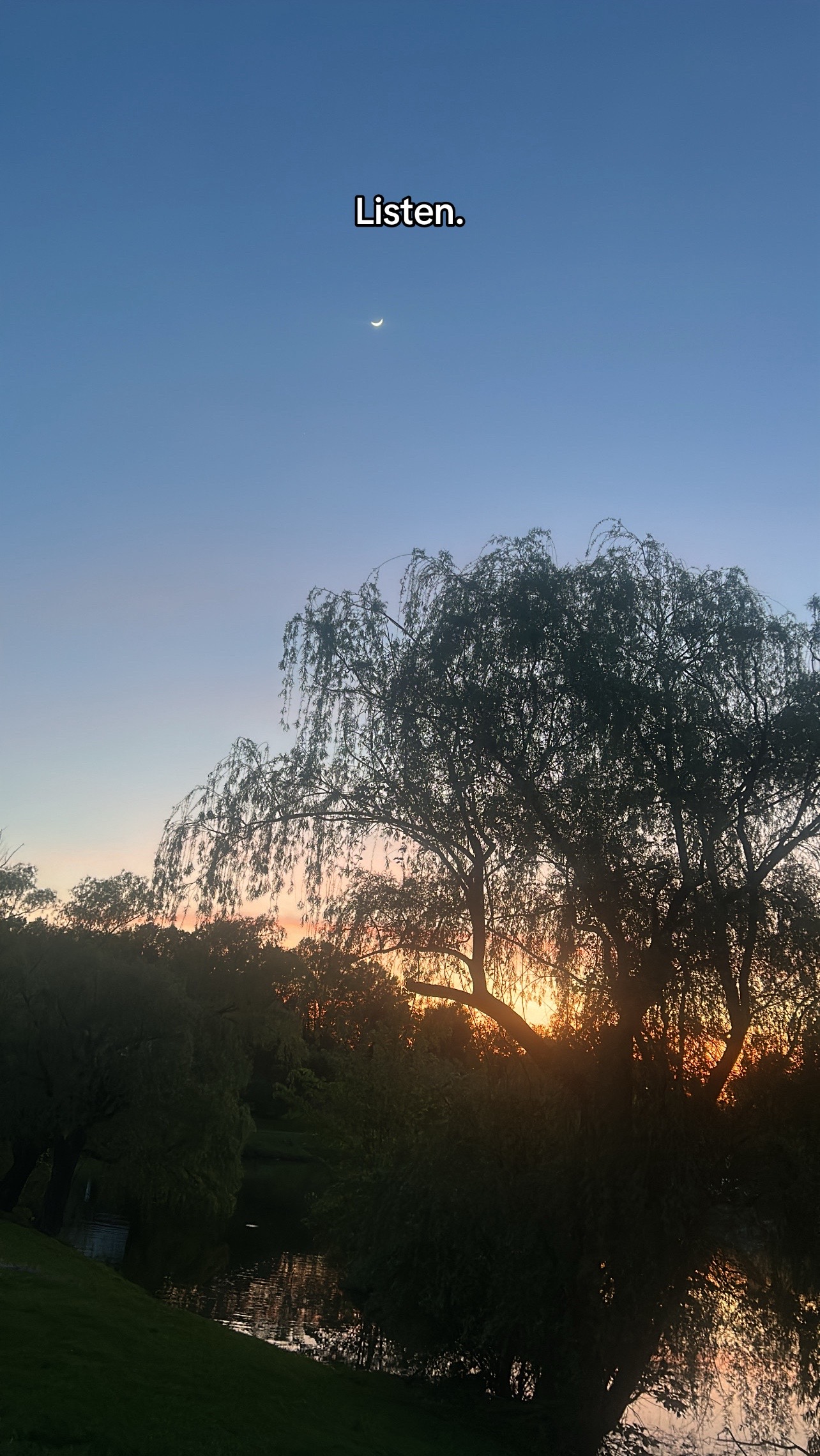 @🌙