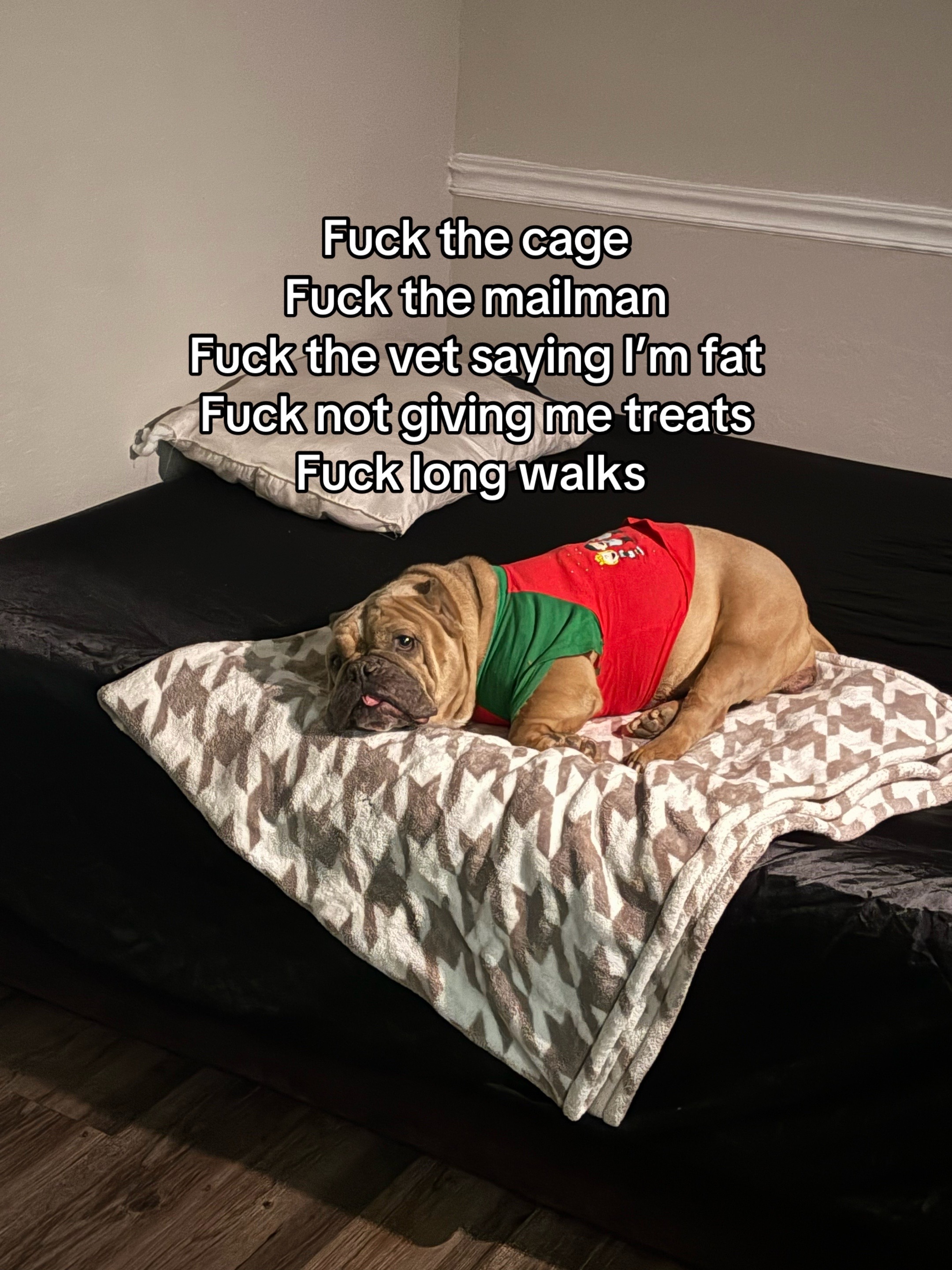 @noesponkysaurus