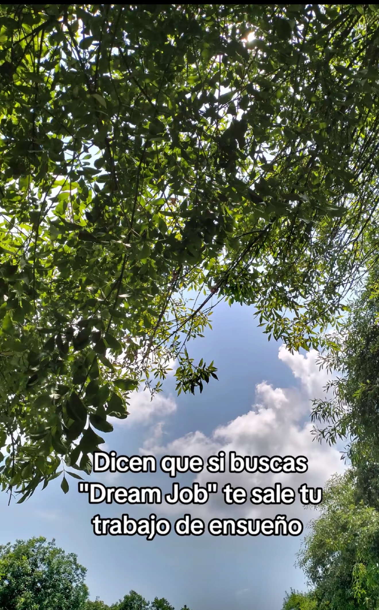 @sabordelnorte24