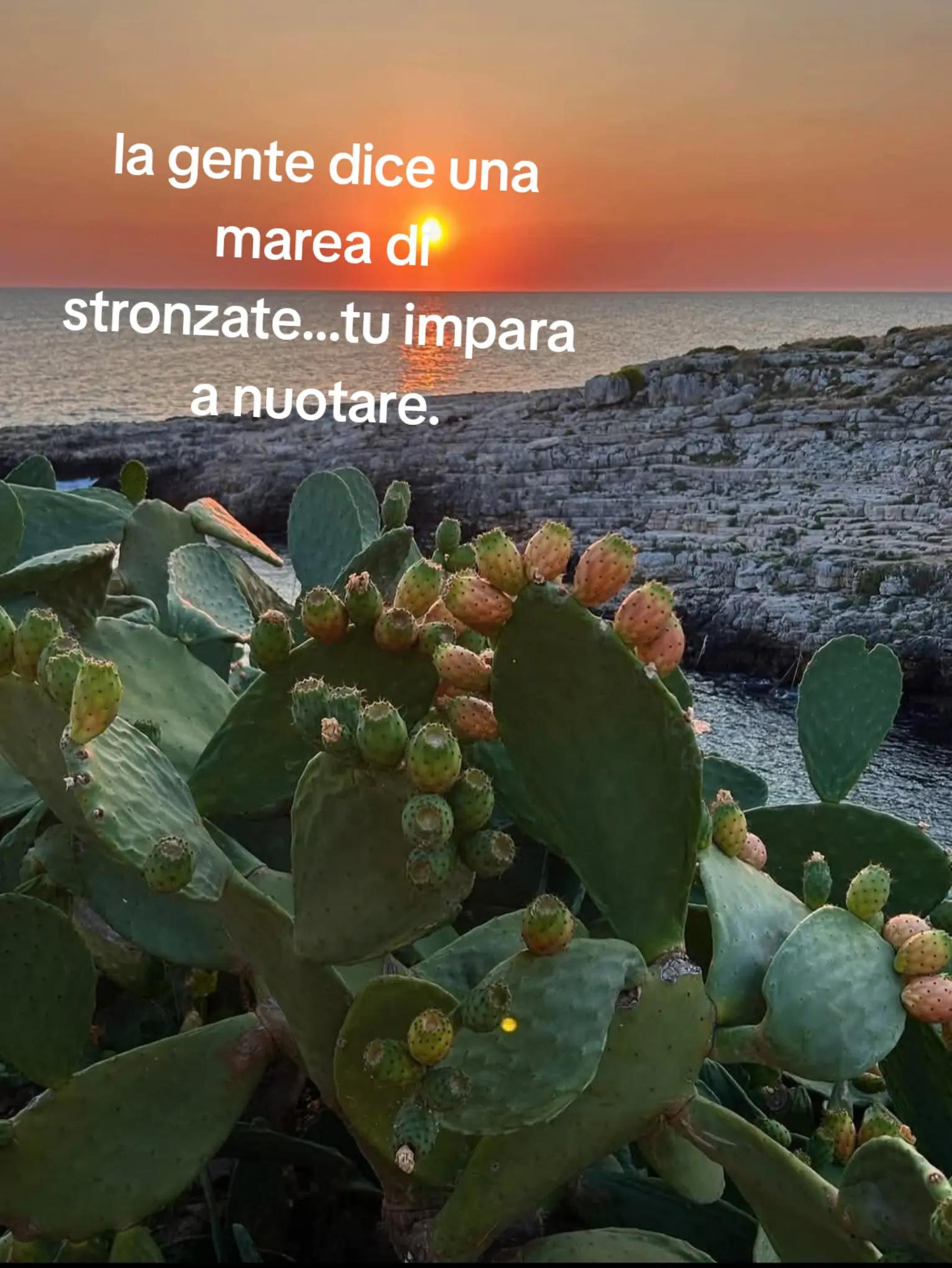 @ciropugliese379