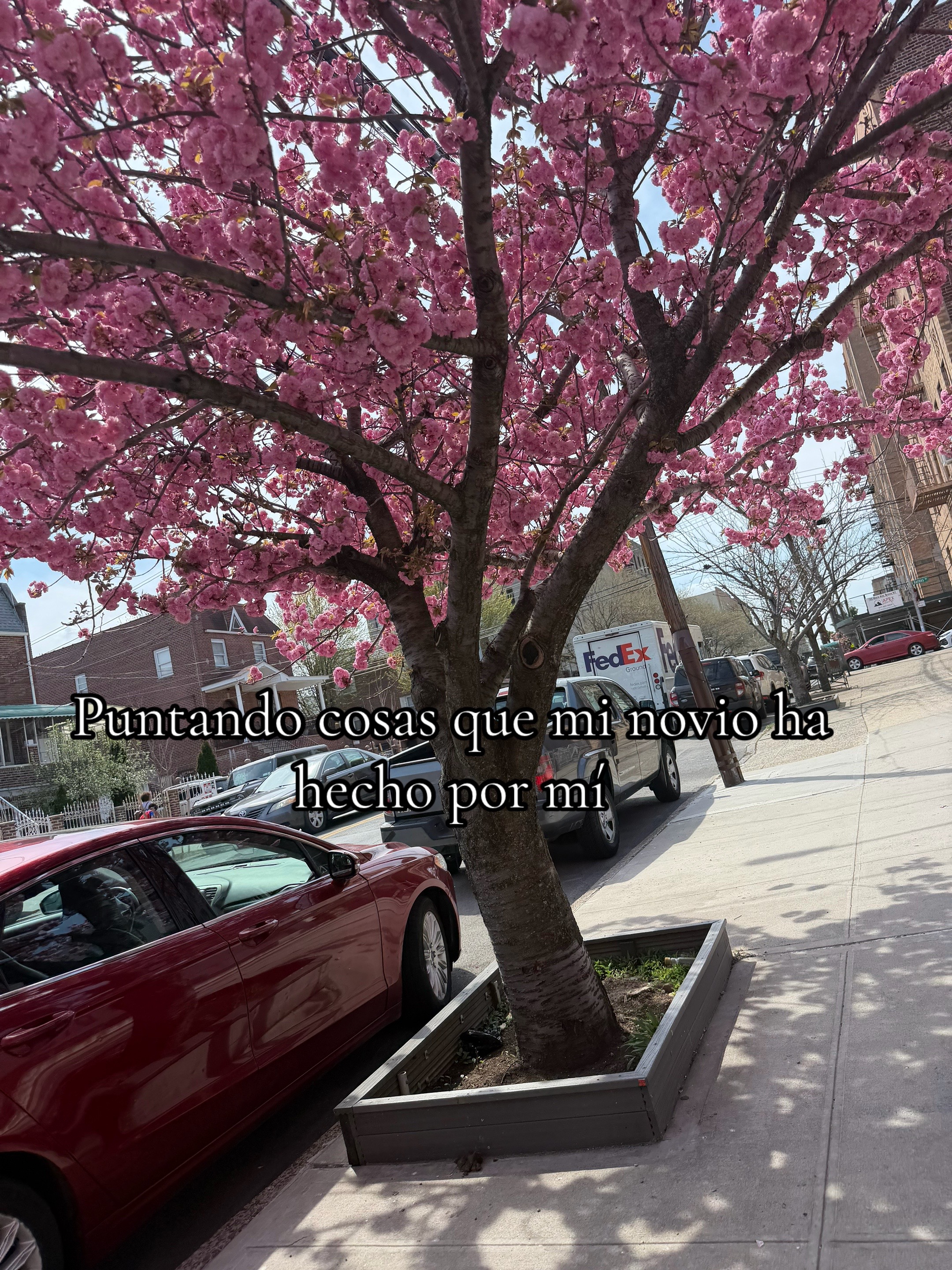 @𝐶𝑟𝑦𝑠𝑡𝑎𝑙🌷