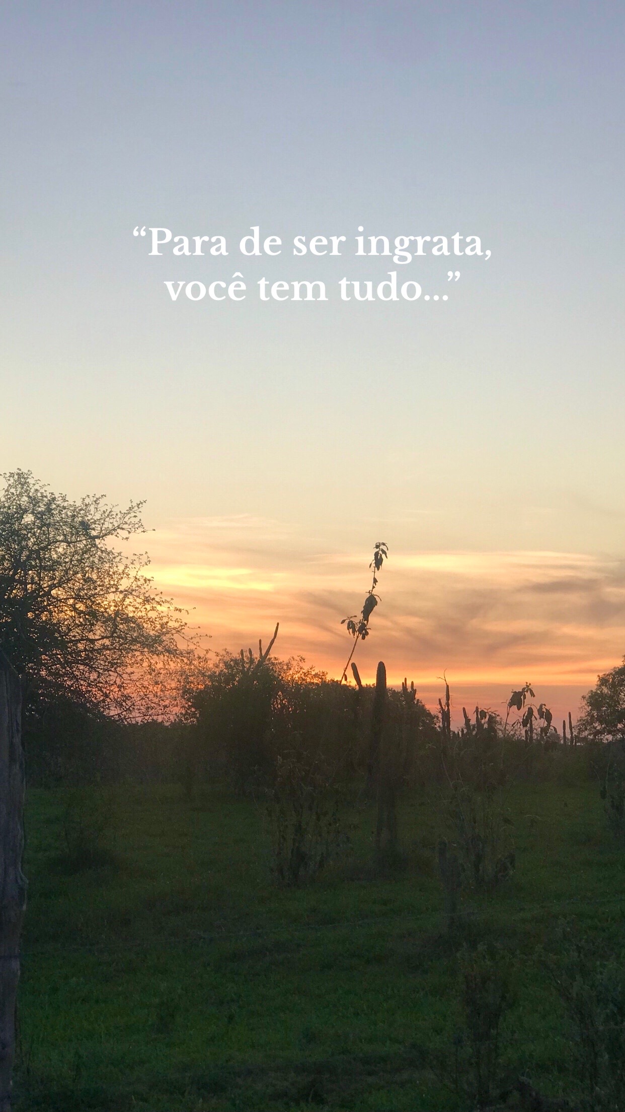 @Naielly S. Costa