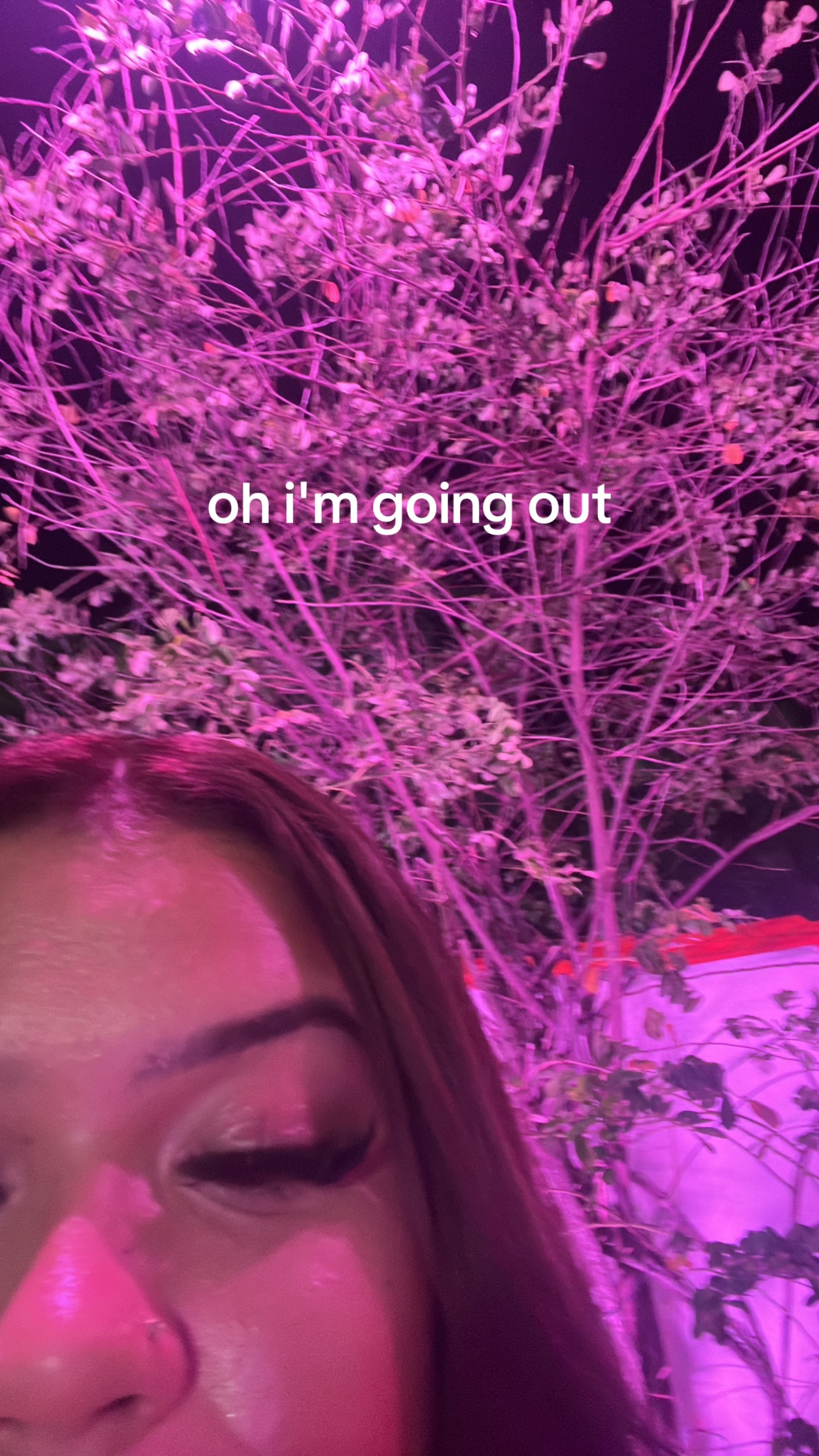 @miss grace