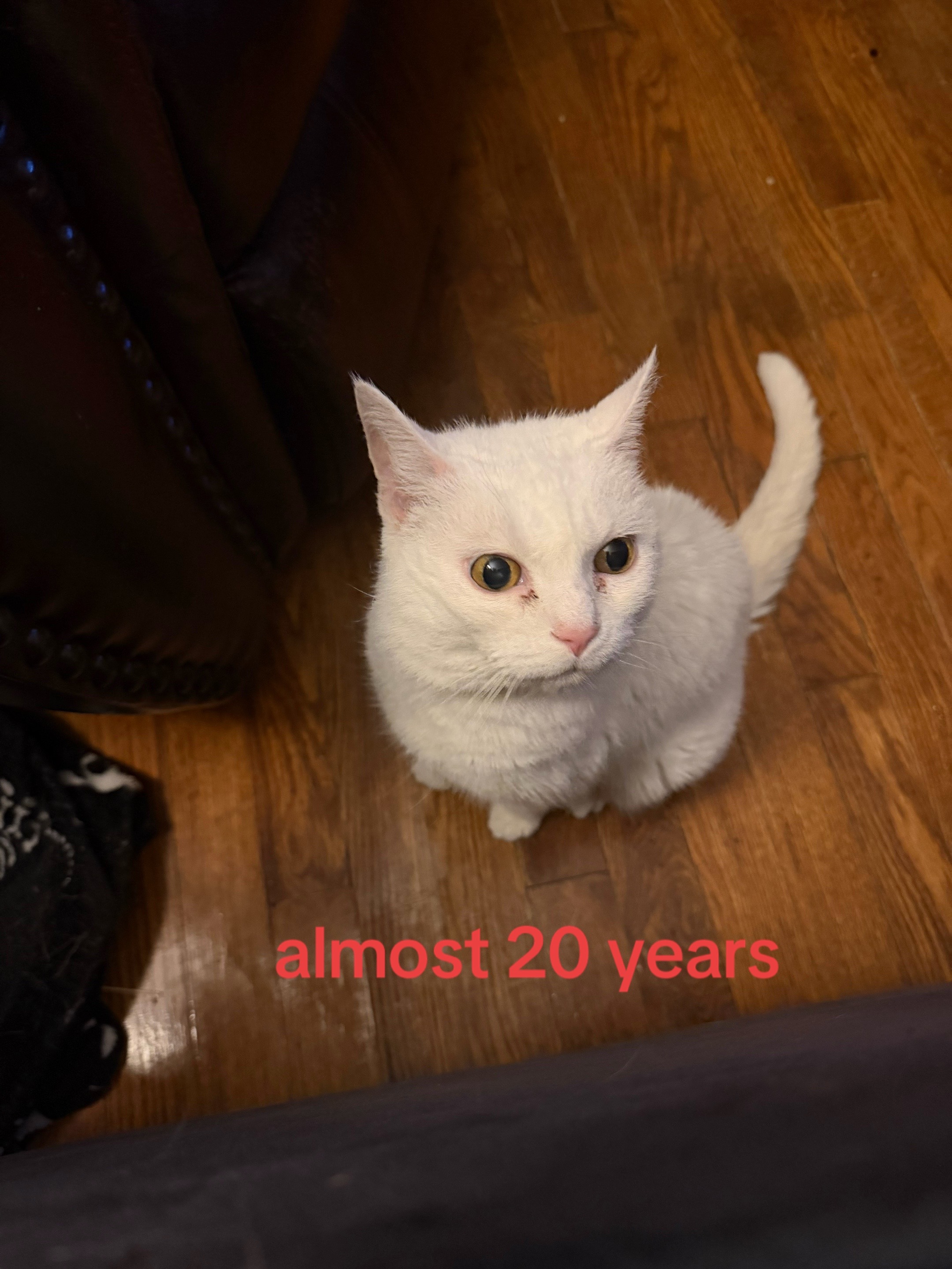 @kat