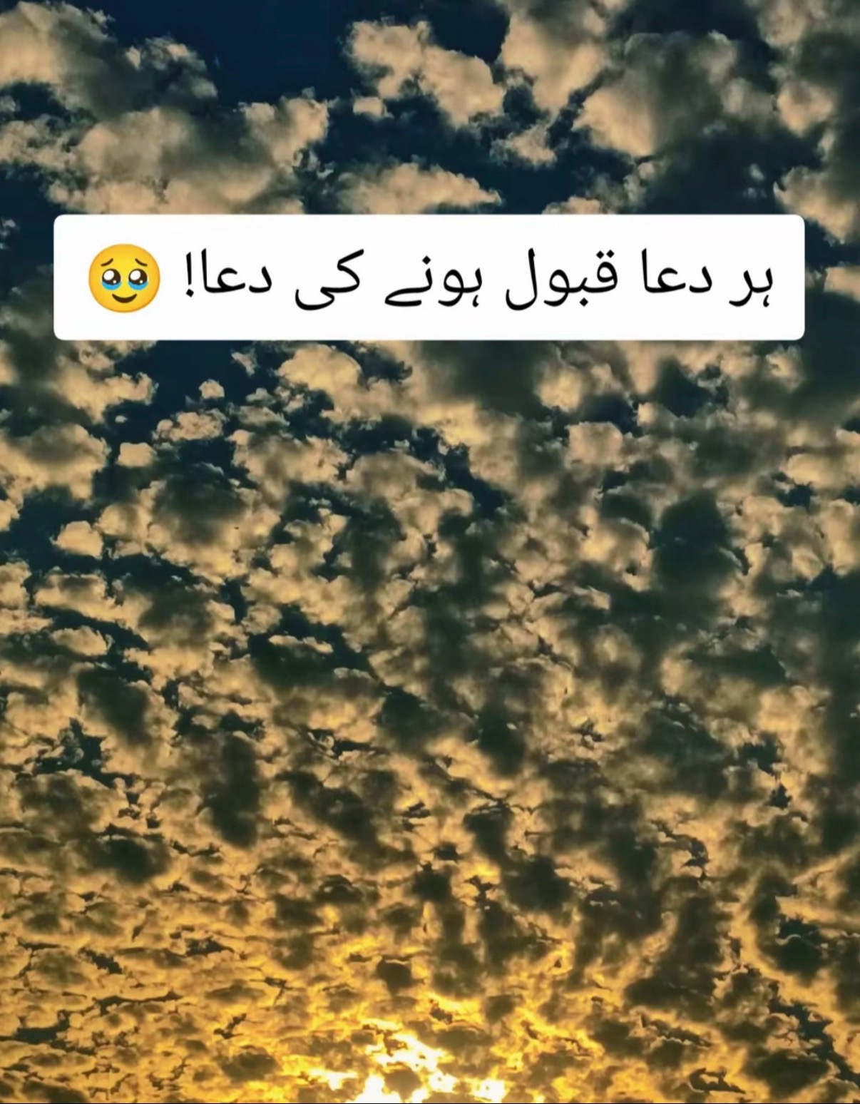 @UK khan 💕
