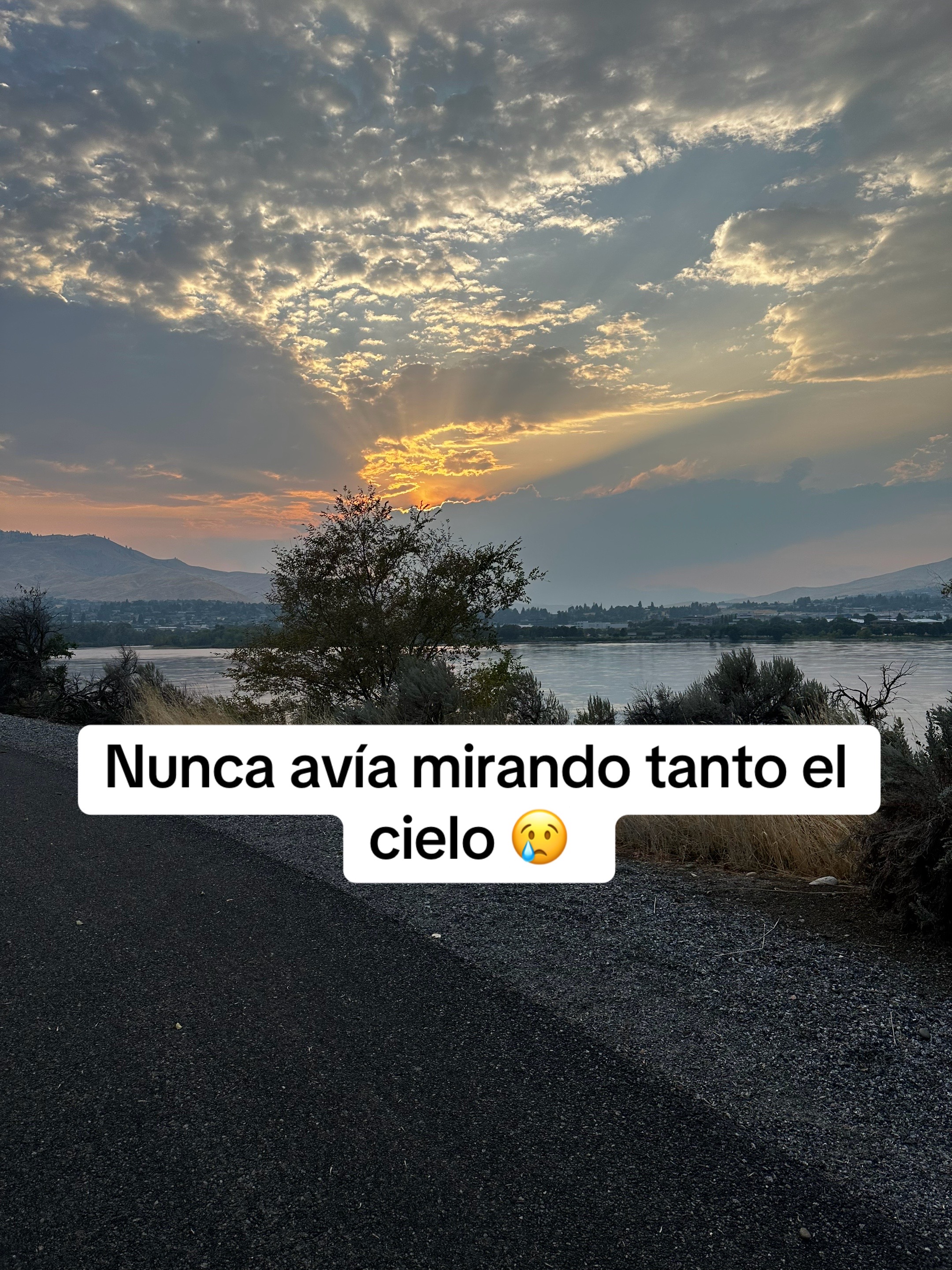 @🖤Butter cup Y🎶
