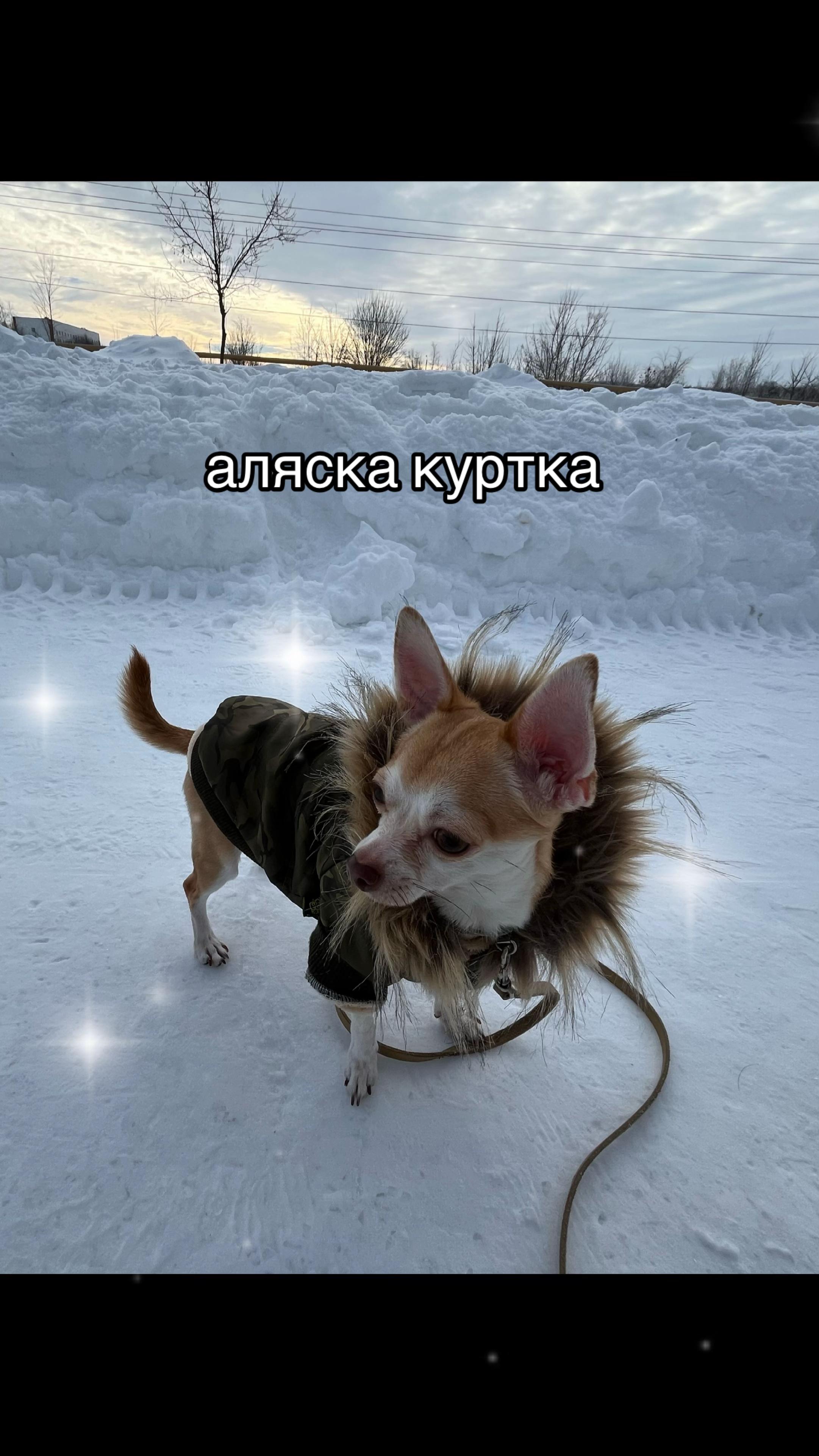 @всё приложится