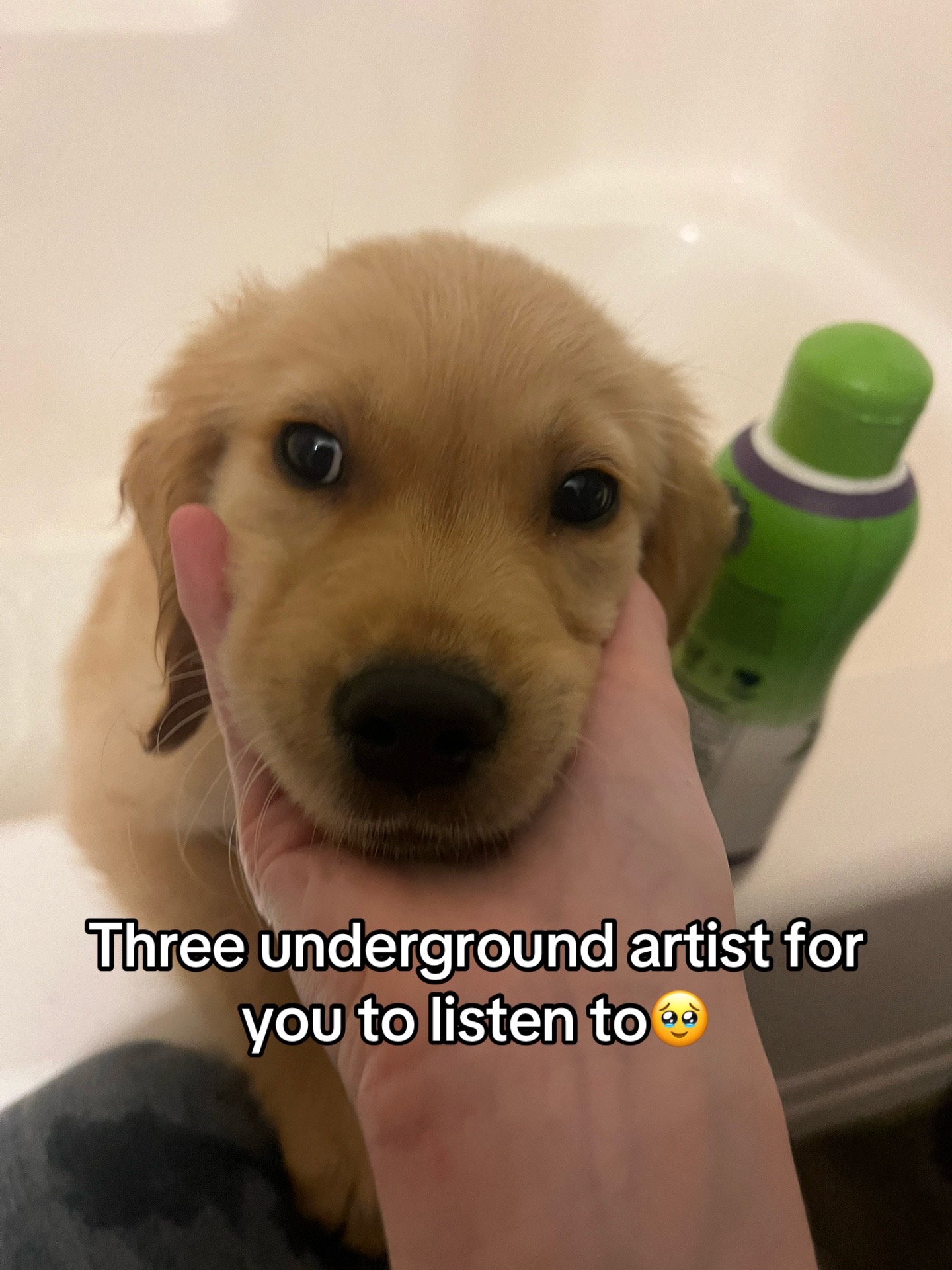 @unusual_tunes