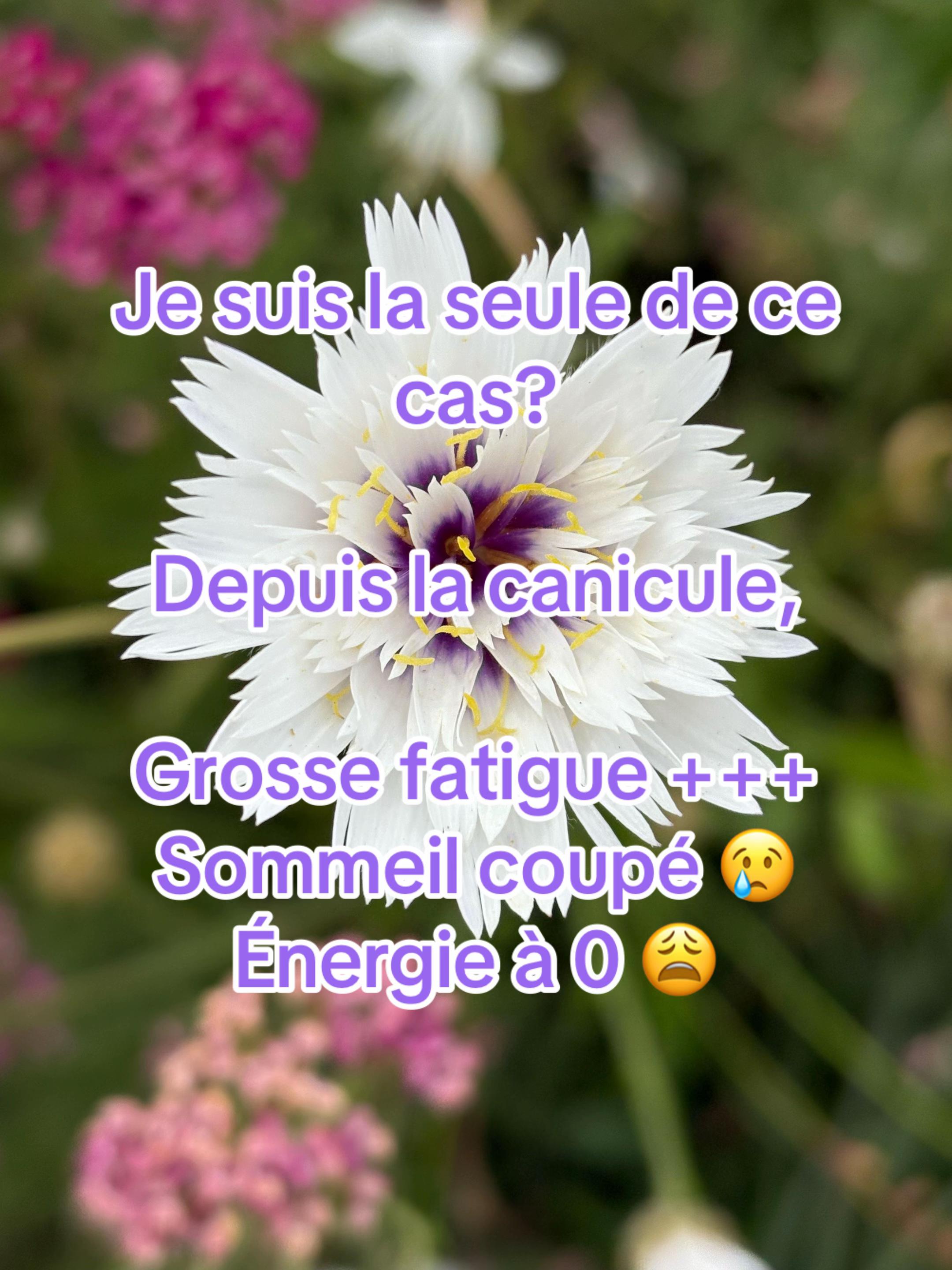 @Eloise/kpop: ces bienfaits 💜