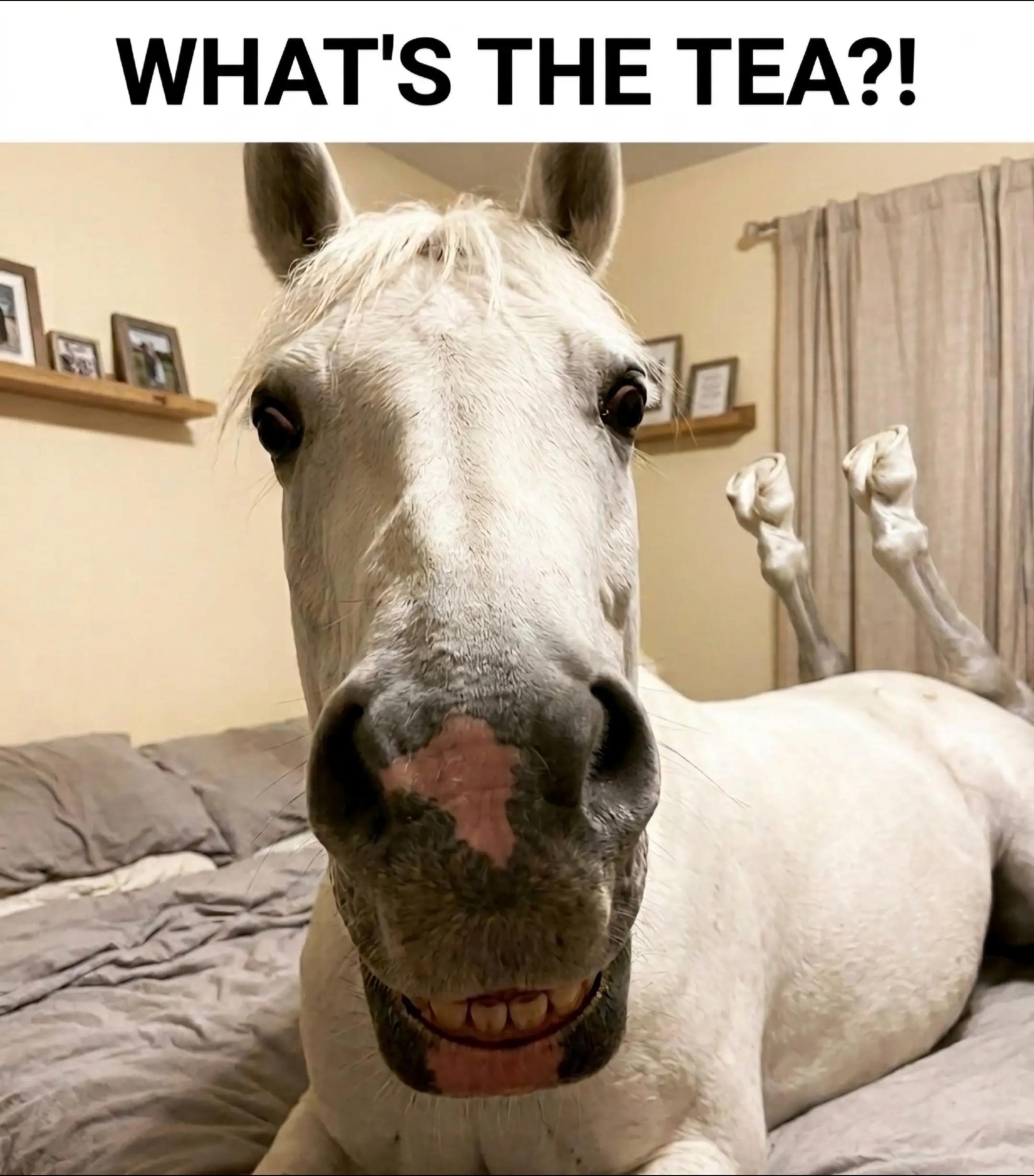 @streamhorse