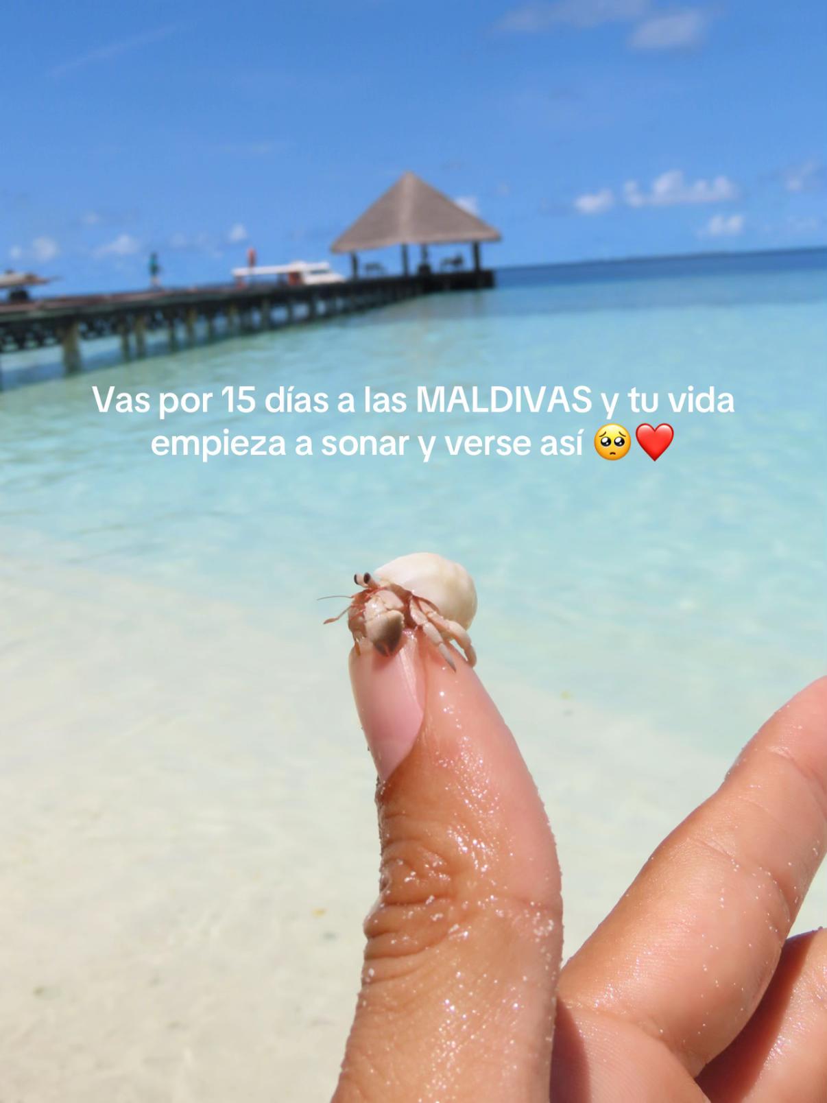 @moiporelmundo🌴🌊🇨🇴
